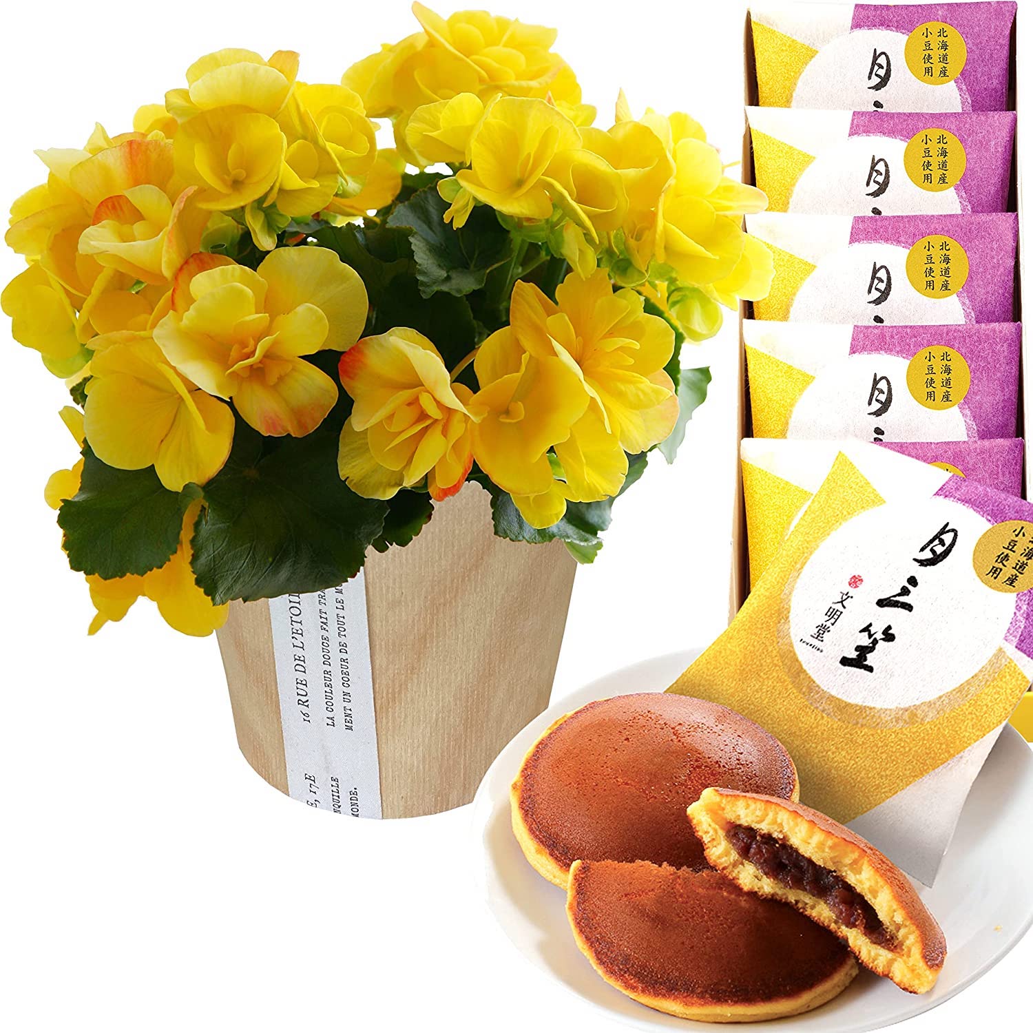 �꡼������ �٥��˥� �� ���ե� ������ �ץ쥼��� �꡼�������٥��˥� ȭ���� ��ȭ