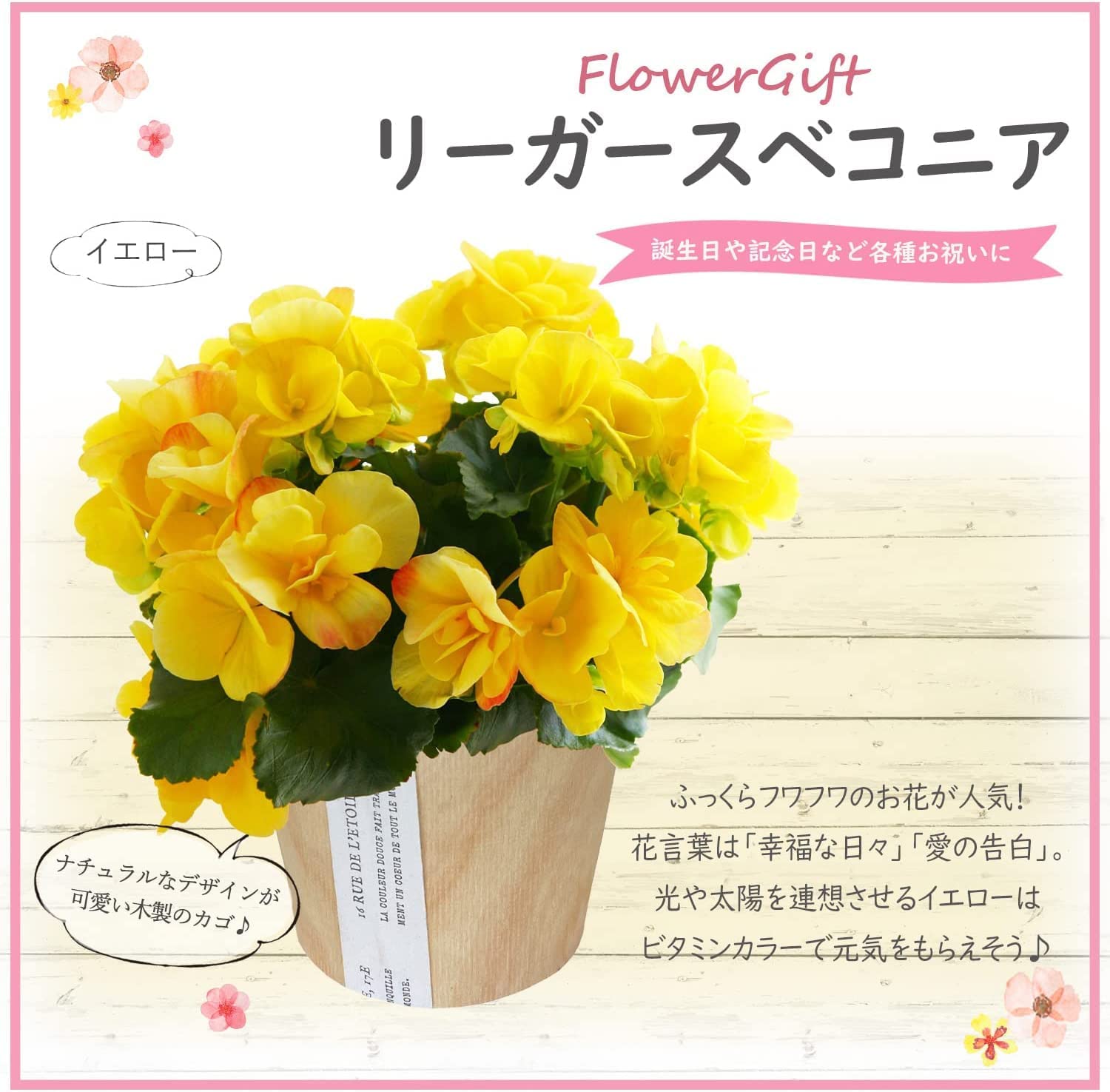 �꡼������ �٥��˥� �� ���ե� ������ �ץ쥼��� �꡼�������٥��˥� ȭ�� ��ȭ