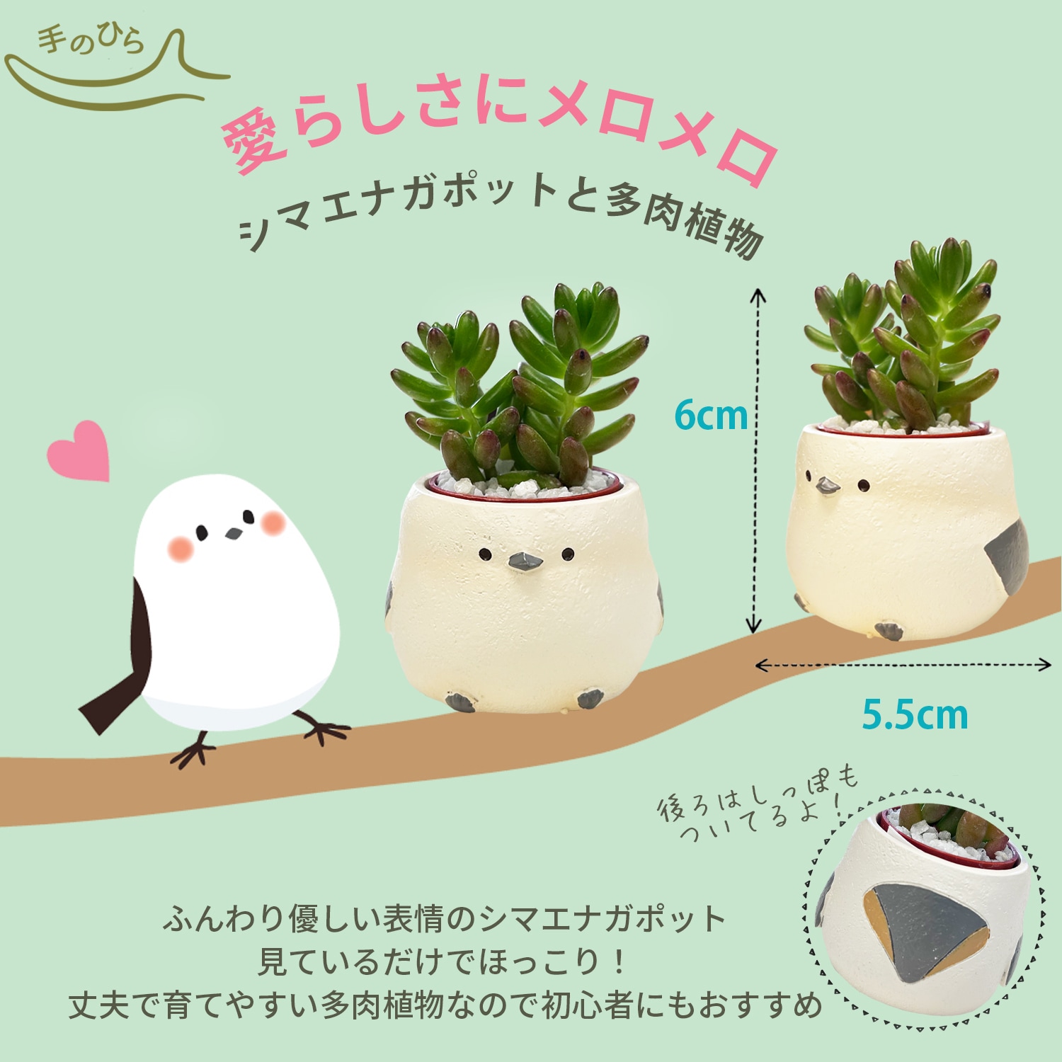 ¿����ʪ ����ƥꥢ ���տ�ʪ ���ե� ���ޥ��ʥ� �ߥ˥����� �ץ����ե� ¿��