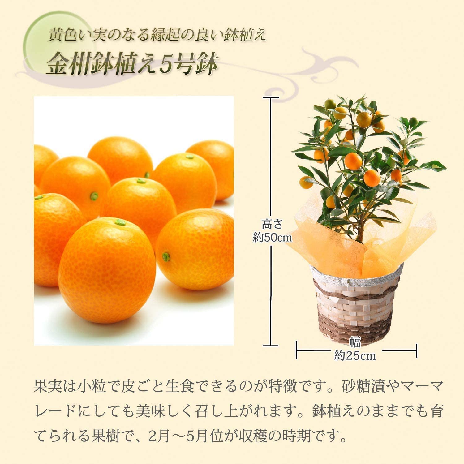 ⴻȭ ˥ݥ ⴻ 󤫤ȭ 󤫤 󥫥 ⴻ