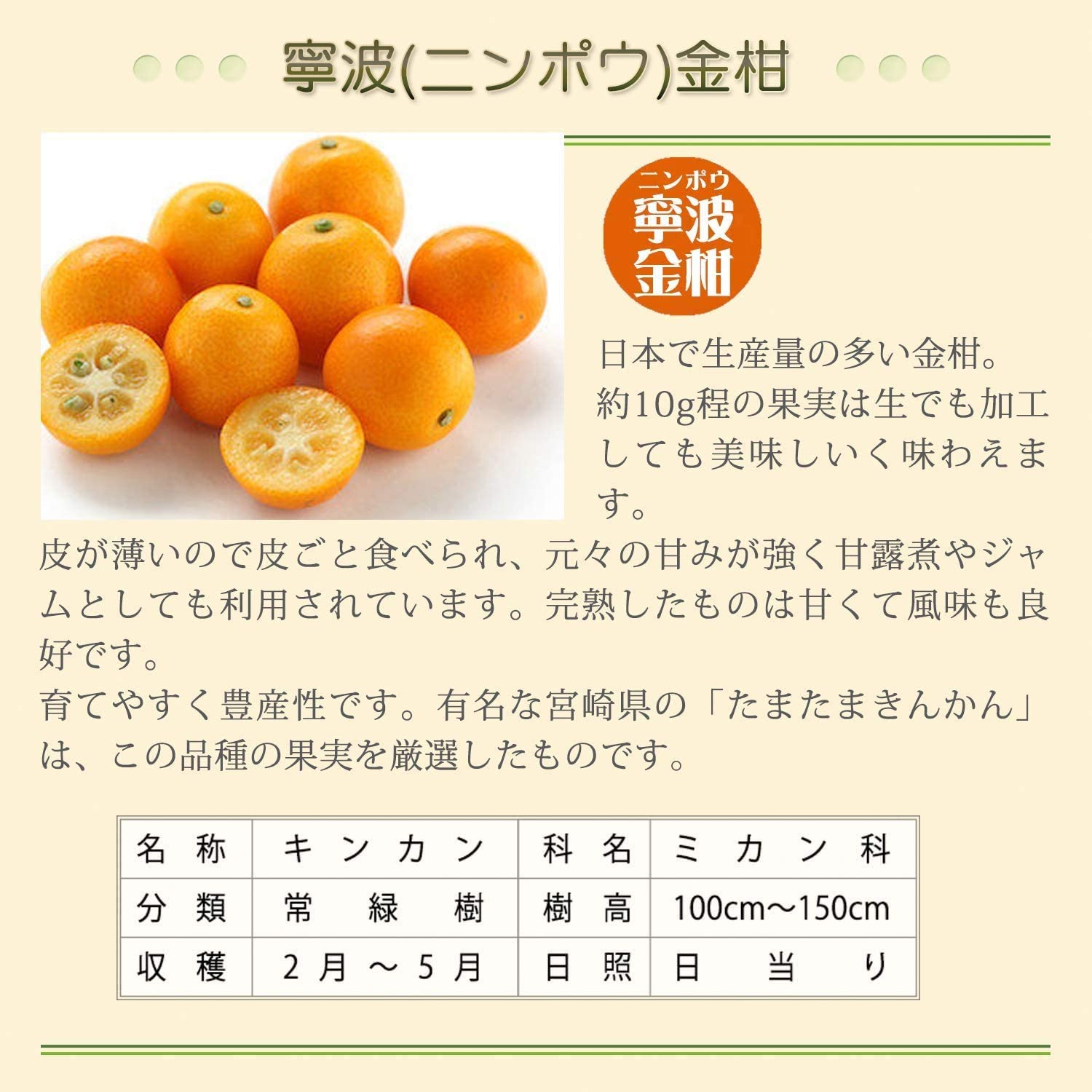 ⴻȭ ˥ݥ ⴻ 󤫤ȭ 󤫤 󥫥 ⴻ