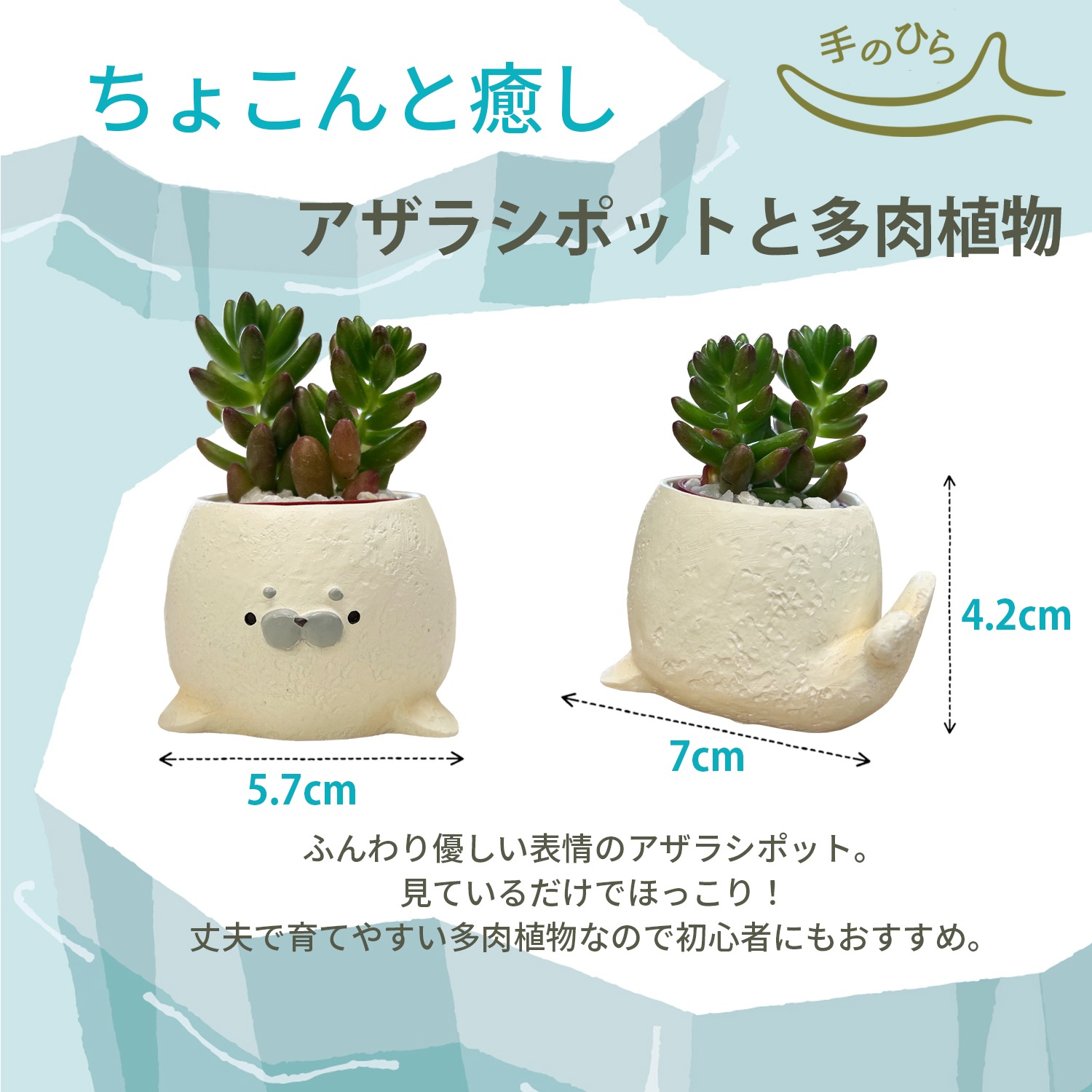 ¿����ʪ ����ƥꥢ ���տ�ʪ ���ե� �����餷 �ߥ˥����� �ץ����ե� ¿��