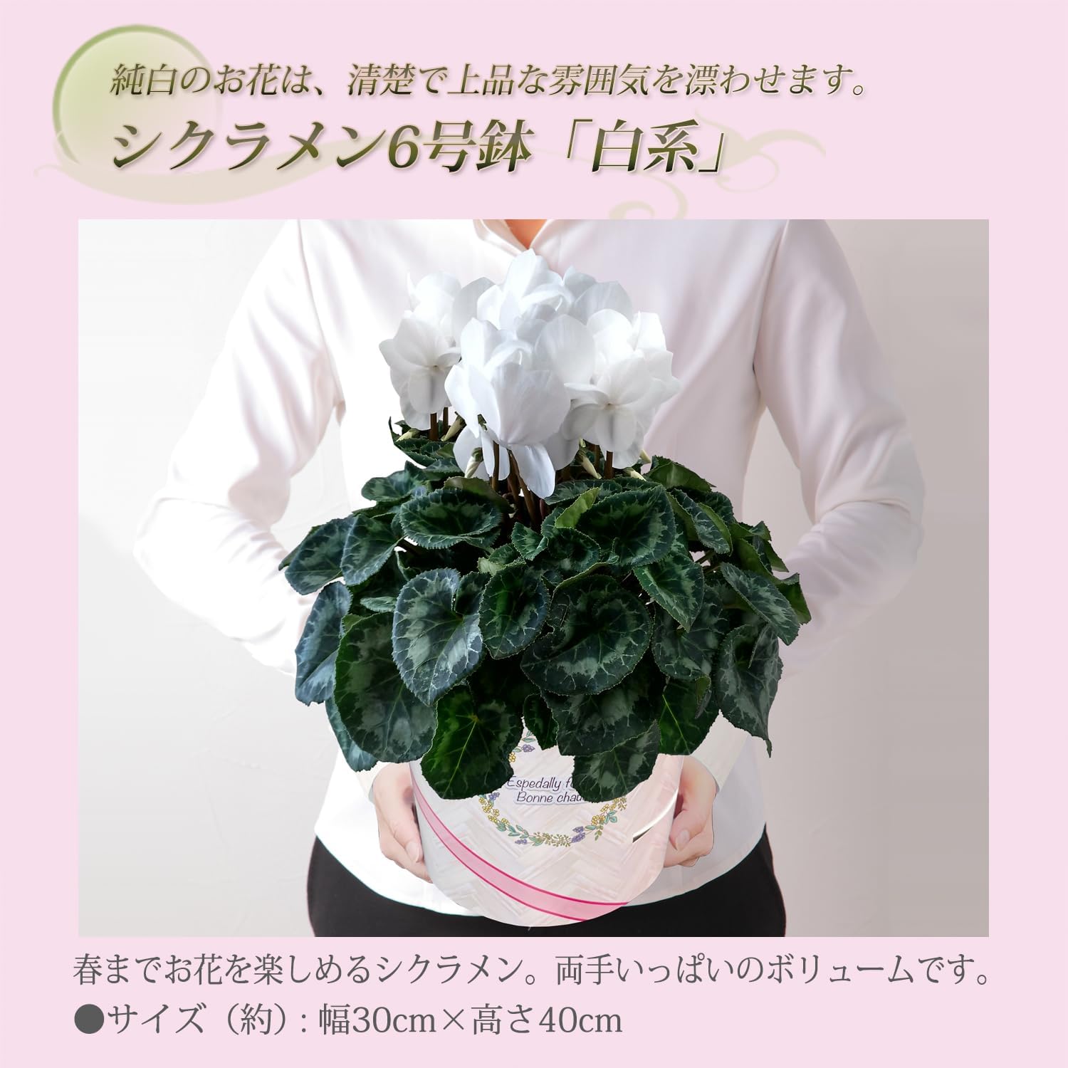 �������� ���ե� �ץ쥼��� �� ȭ���� ȭ�� ������ 6��ȭ �� ���� ������
