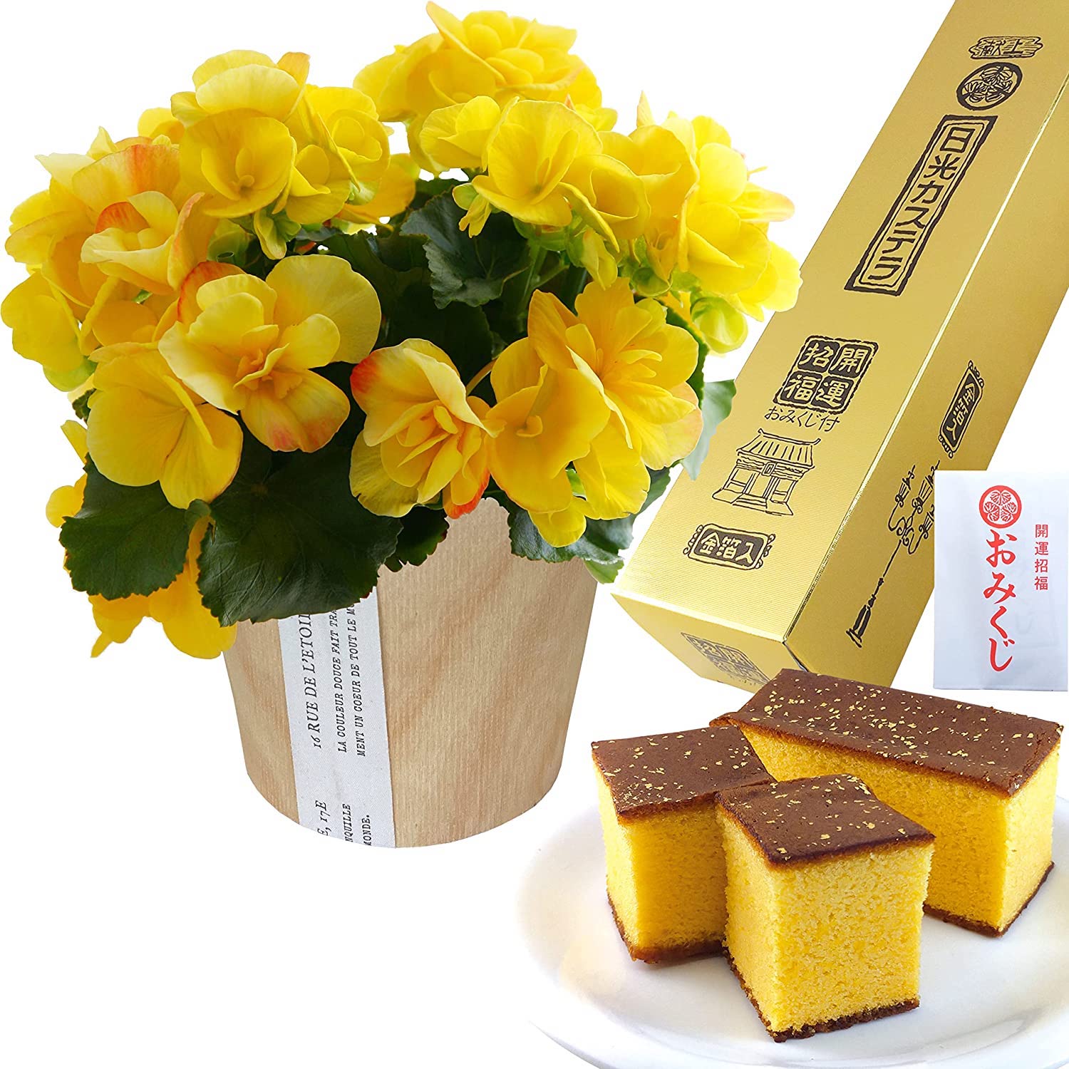 �꡼������ �٥��˥� �� ���ե� ������ �ץ쥼��� �꡼�������٥��˥� ȭ�� ȭ��