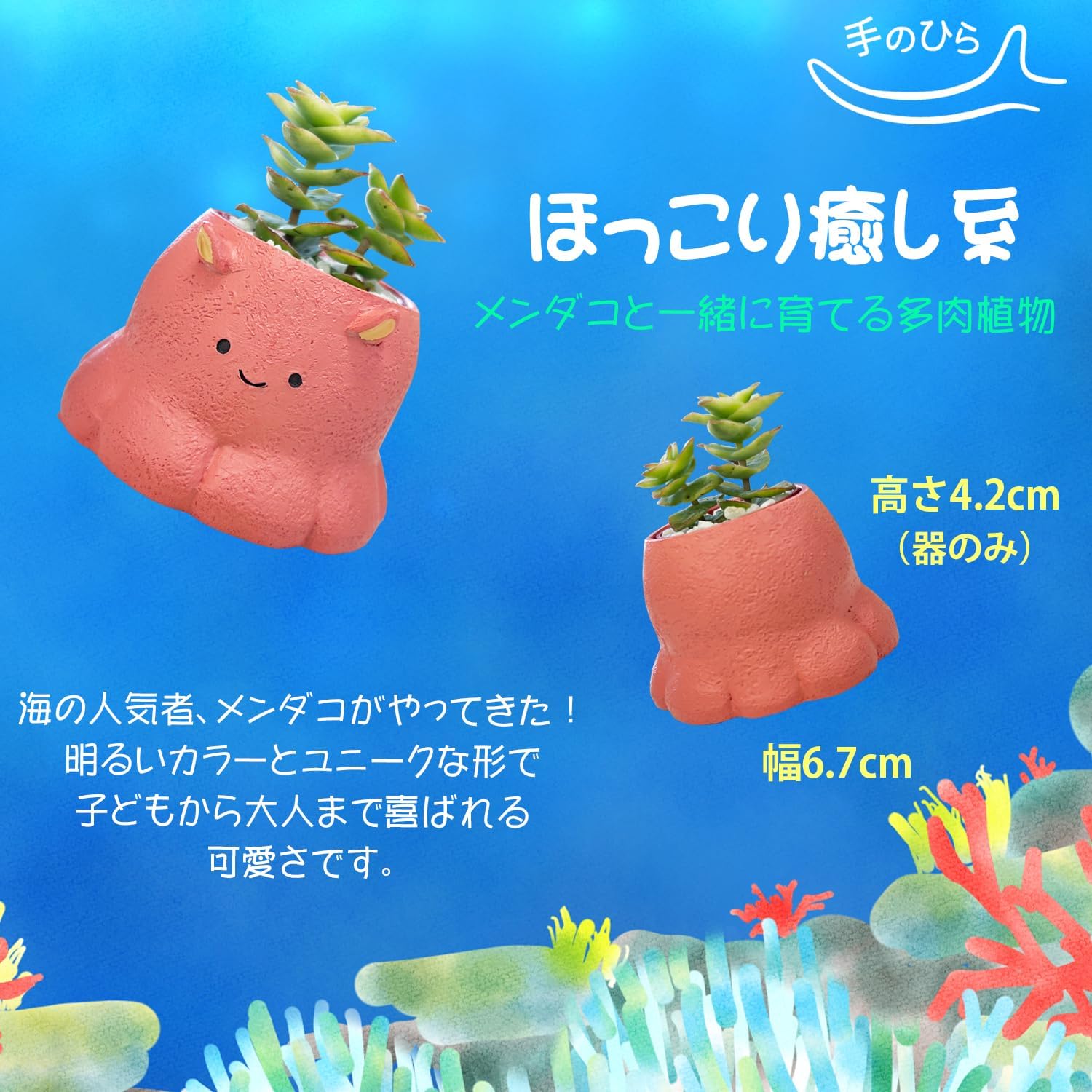 ¿����ʪ ����ƥꥢ ���տ�ʪ ���ե� ������ �ߥ˥����� �ץ����ե� ¿��