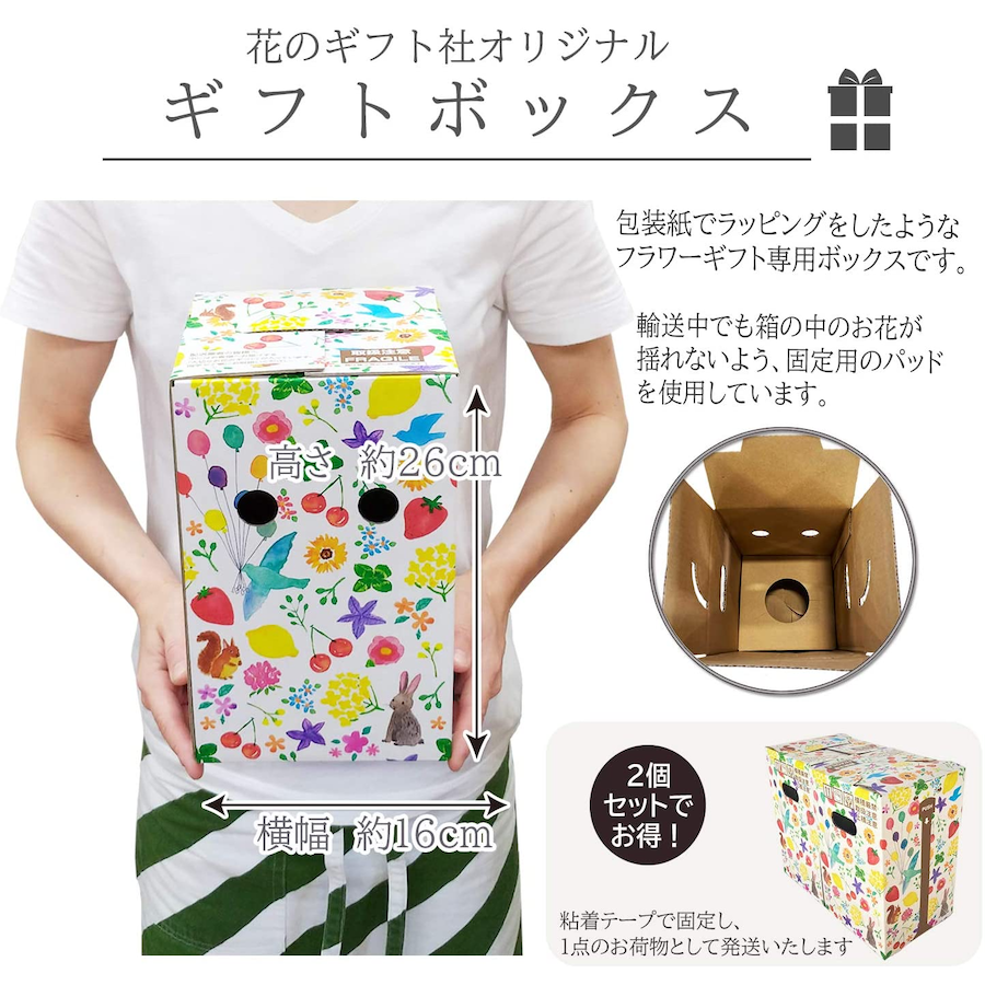 ݥȥ ʪߥ˴ տʪ  ƫ ȭ ƥꥢ Ŀ  ꡼