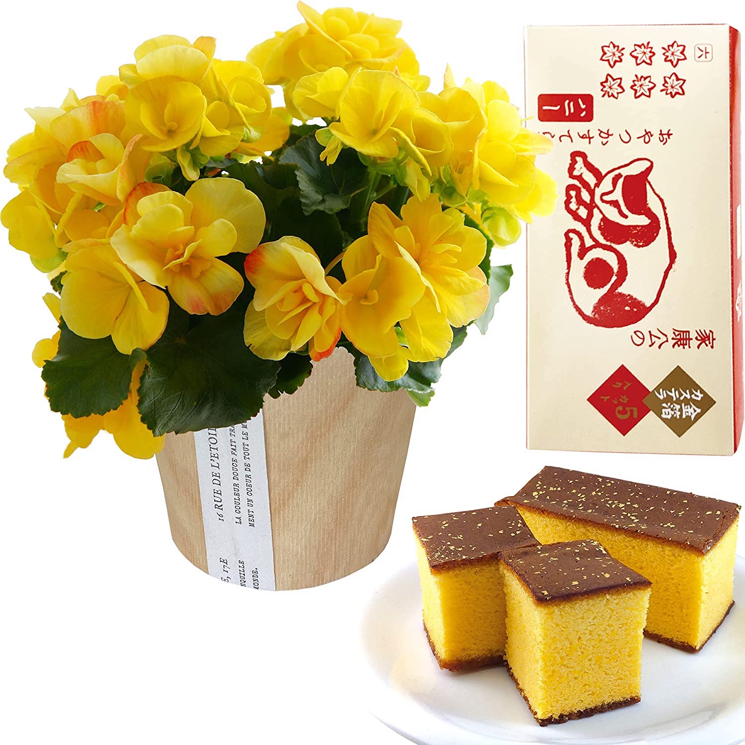 �꡼������ �٥��˥� �� ���ե� ������ �ץ쥼��� �꡼�������٥��˥� ȭ�� ȭ����