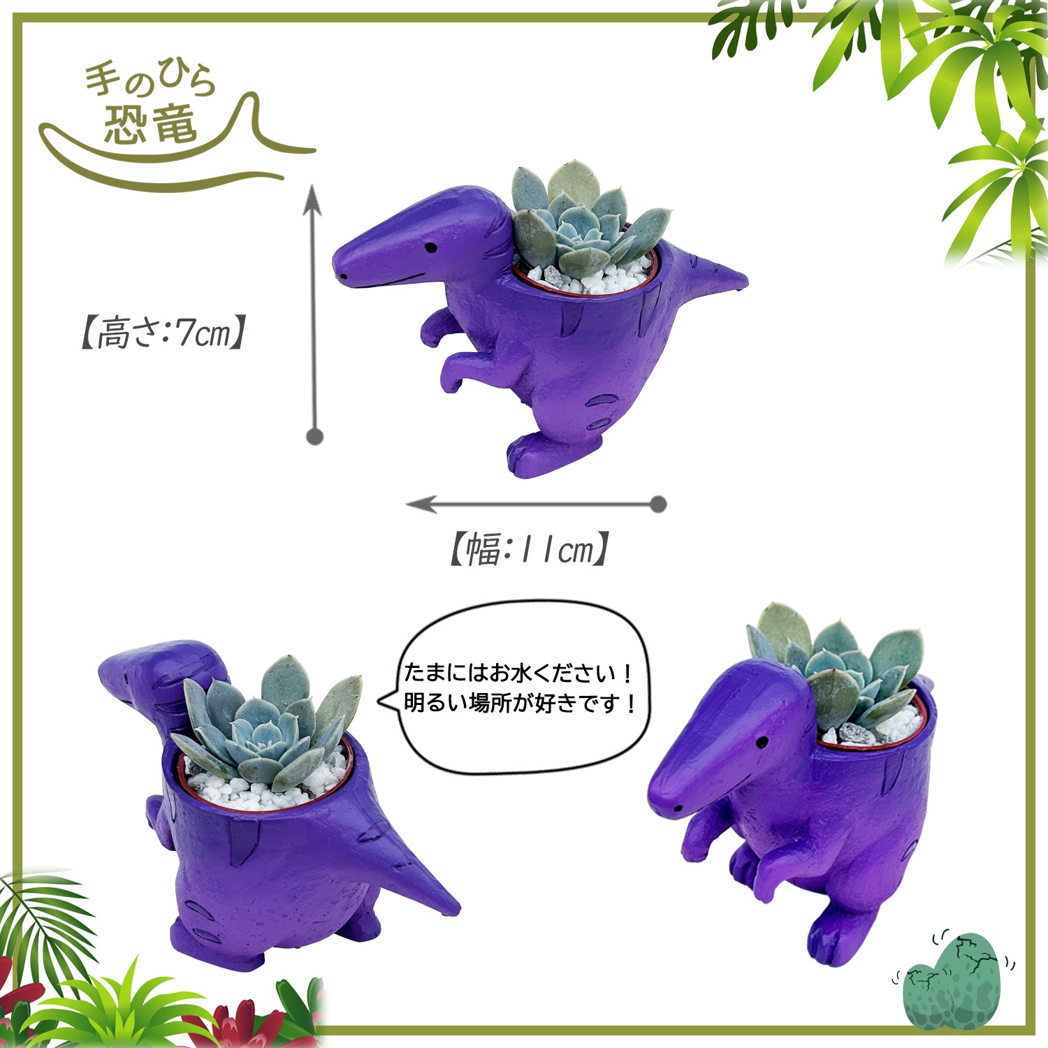 ¿����ʪ ¿�� ��ε ��ȥ붲ε ���ե� ���襤�� ����ƥꥢ ������ �ץ����ե�