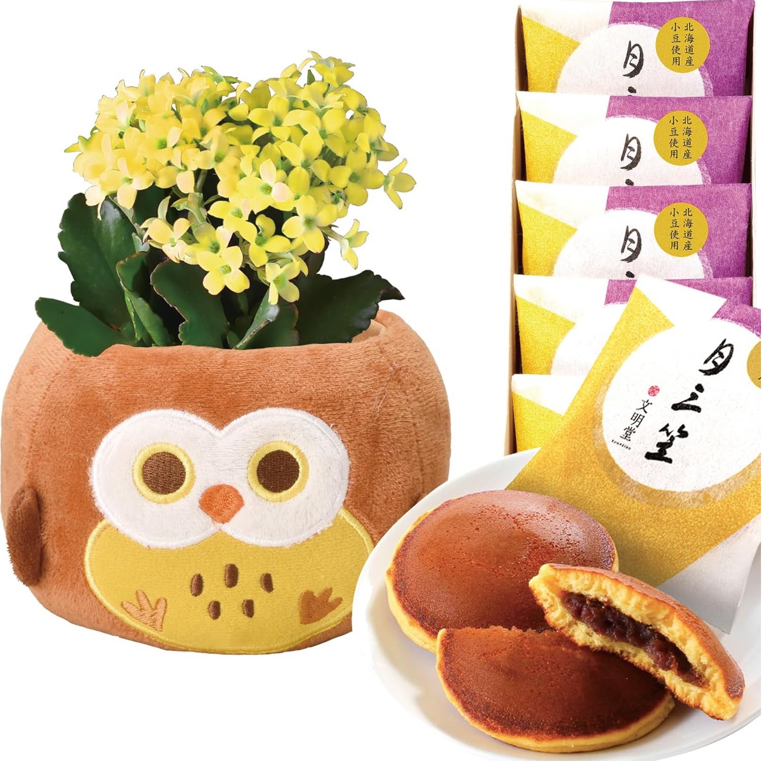 ����󥳥� �� ȭ���� �ץ쥼��� ���ե� ������ ���ˤ� ���� ��ȭ ȭ�� ���ۻ�