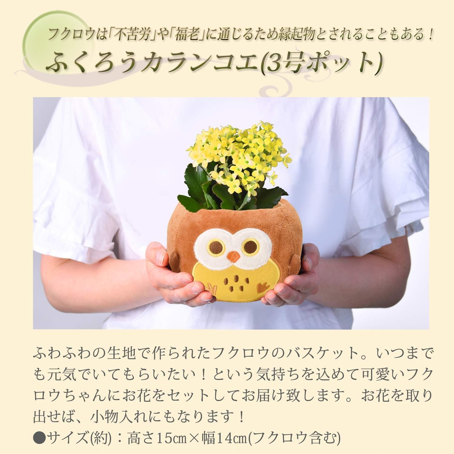 ����󥳥� �� ȭ���� �ץ쥼��� ���ե� ������ ���ˤ� ���� ��ȭ ȭ�� ���ۻ�