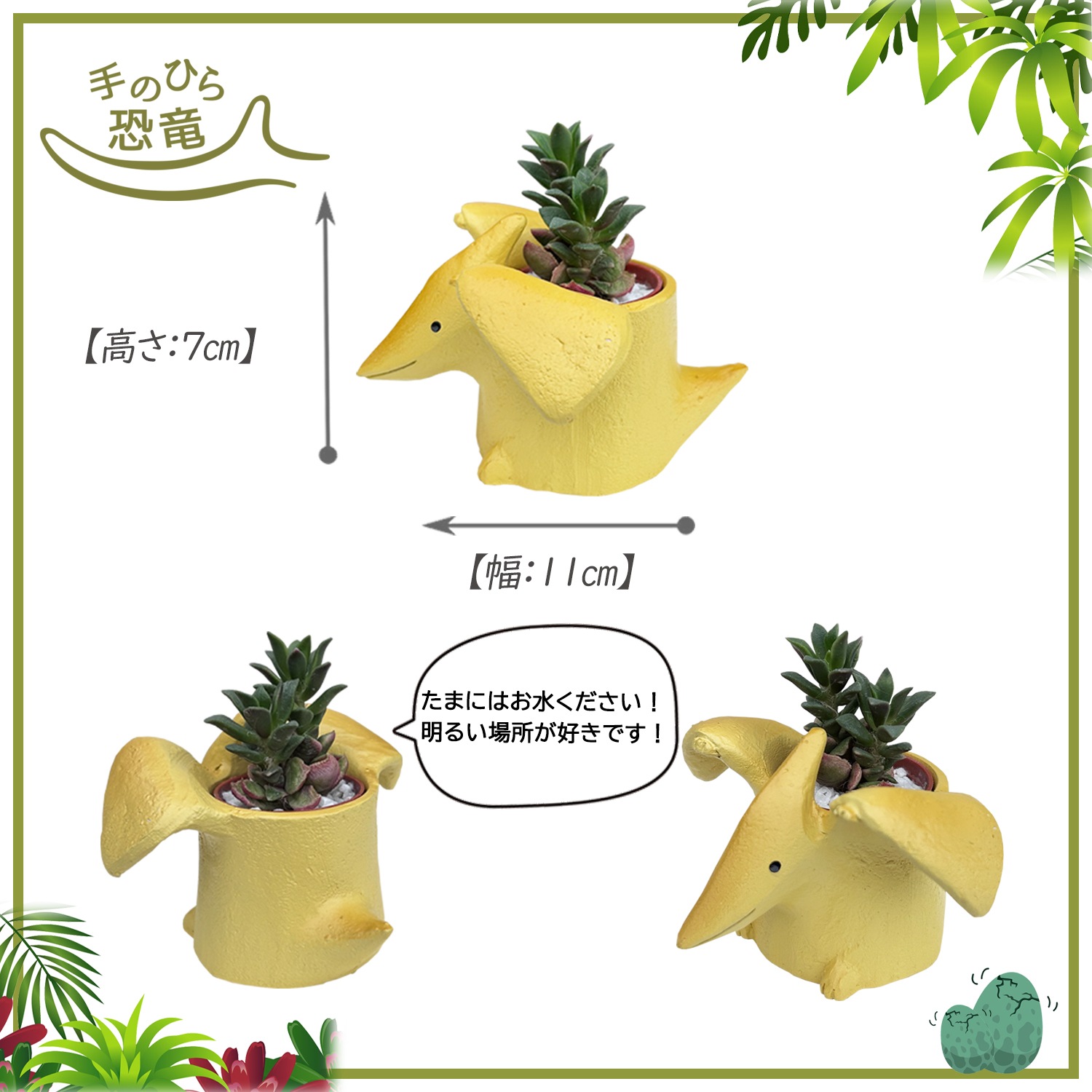 ¿����ʪ ¿�� ��ε ��ȥ붲ε ���ե� �ץƥ�Υɥ� ������ ���襤�� ����ƥꥢ �ץ����ե�