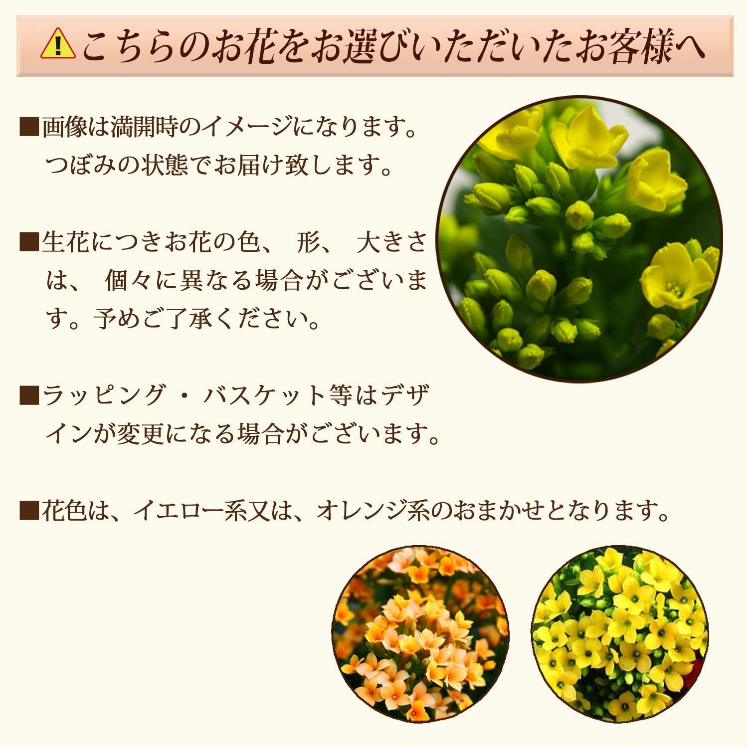 ����󥳥� �� ȭ���� �ץ쥼��� ���ե� ������ ���ˤ� ���� ��ȭ ȭ�� ���� ��