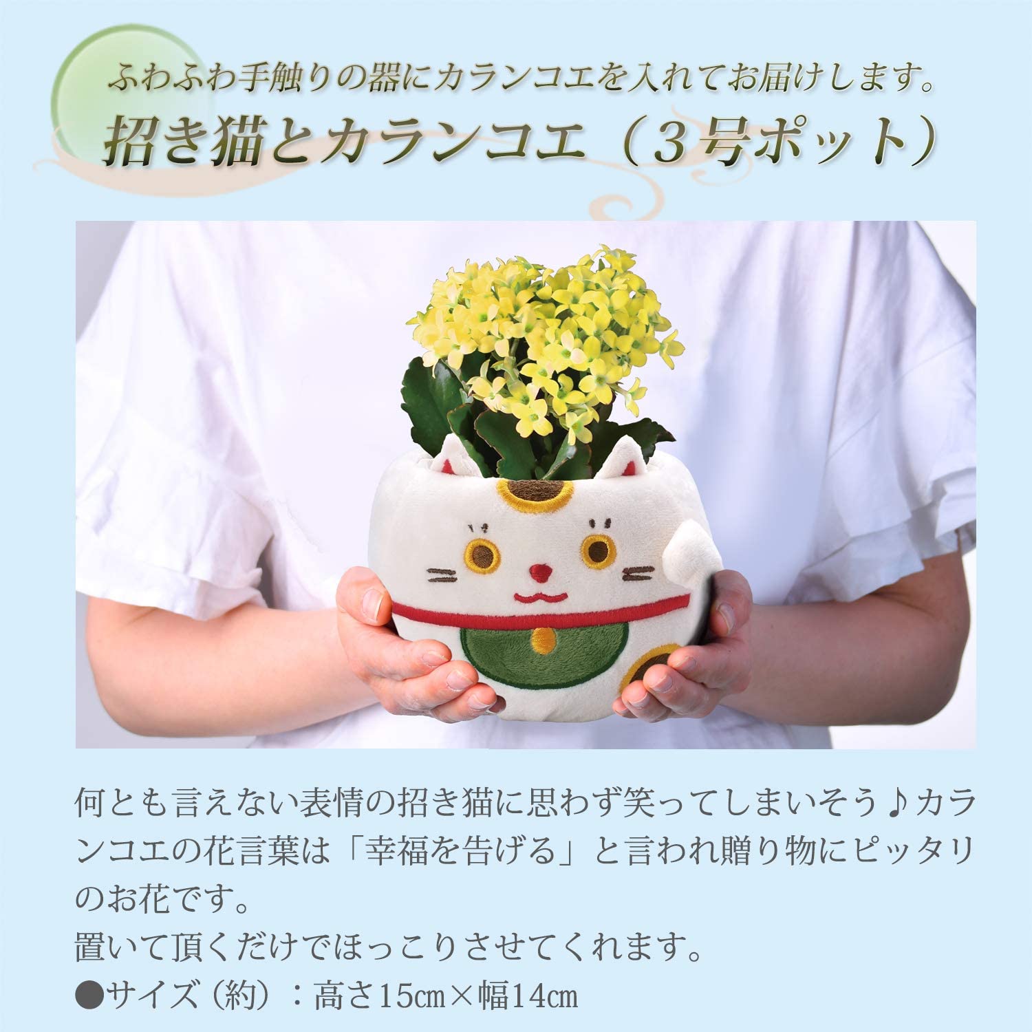 ����󥳥� �� ȭ���� �ץ쥼��� ���ե� ������ ���ˤ� ���� ��ȭ ȭ�� ���� ��