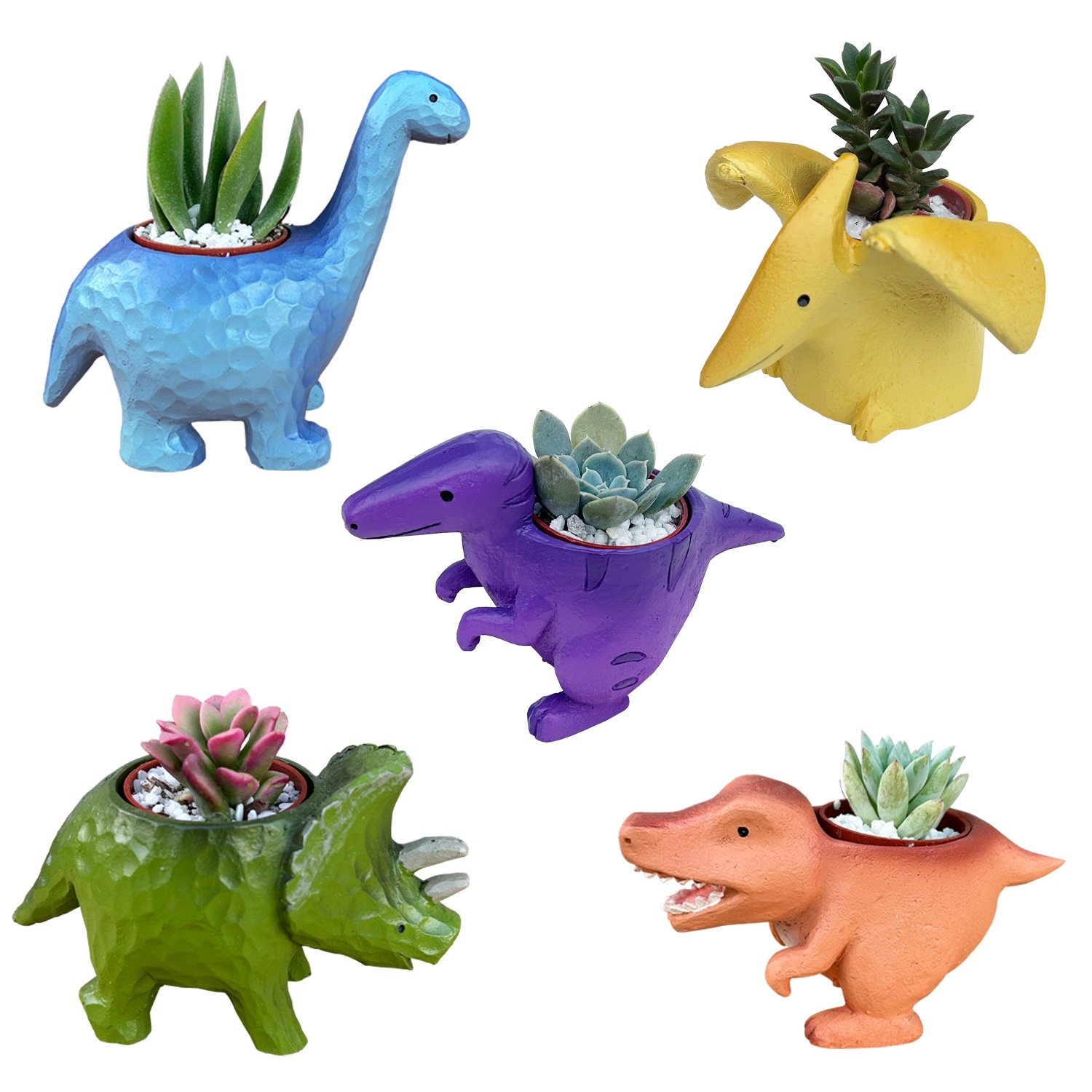 ¿����ʪ ¿�� ��ε ���տ�ʪ ���ե� ���襤�� ����ƥꥢ ������ �ץ����ե� ���å�