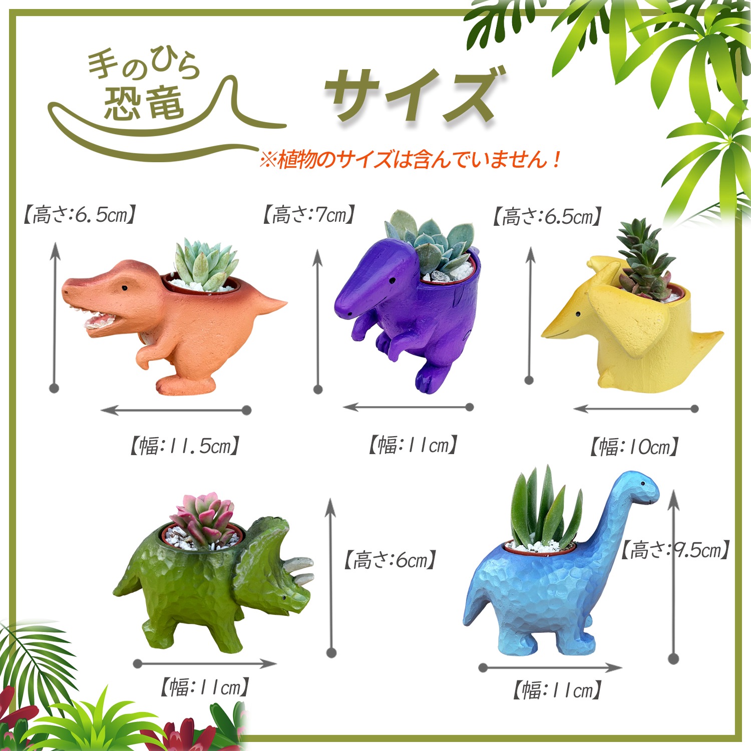 ¿����ʪ ¿�� ��ε ���տ�ʪ ���ե� ���襤�� ����ƥꥢ ������ �ץ����ե� ���å�