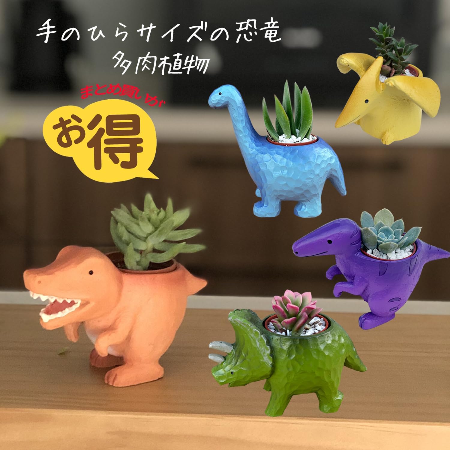 ¿����ʪ ¿�� ��ε ���տ�ʪ ���ե� ���襤�� ����ƥꥢ ������ �ץ����ե� ���å�