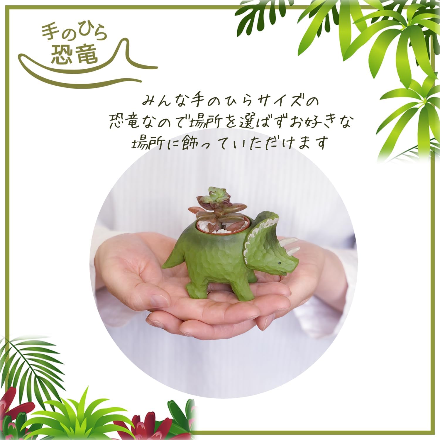 ¿����ʪ ¿�� ��ε ���տ�ʪ ���ե� ���襤�� ����ƥꥢ ������ �ץ����ե� ���å�