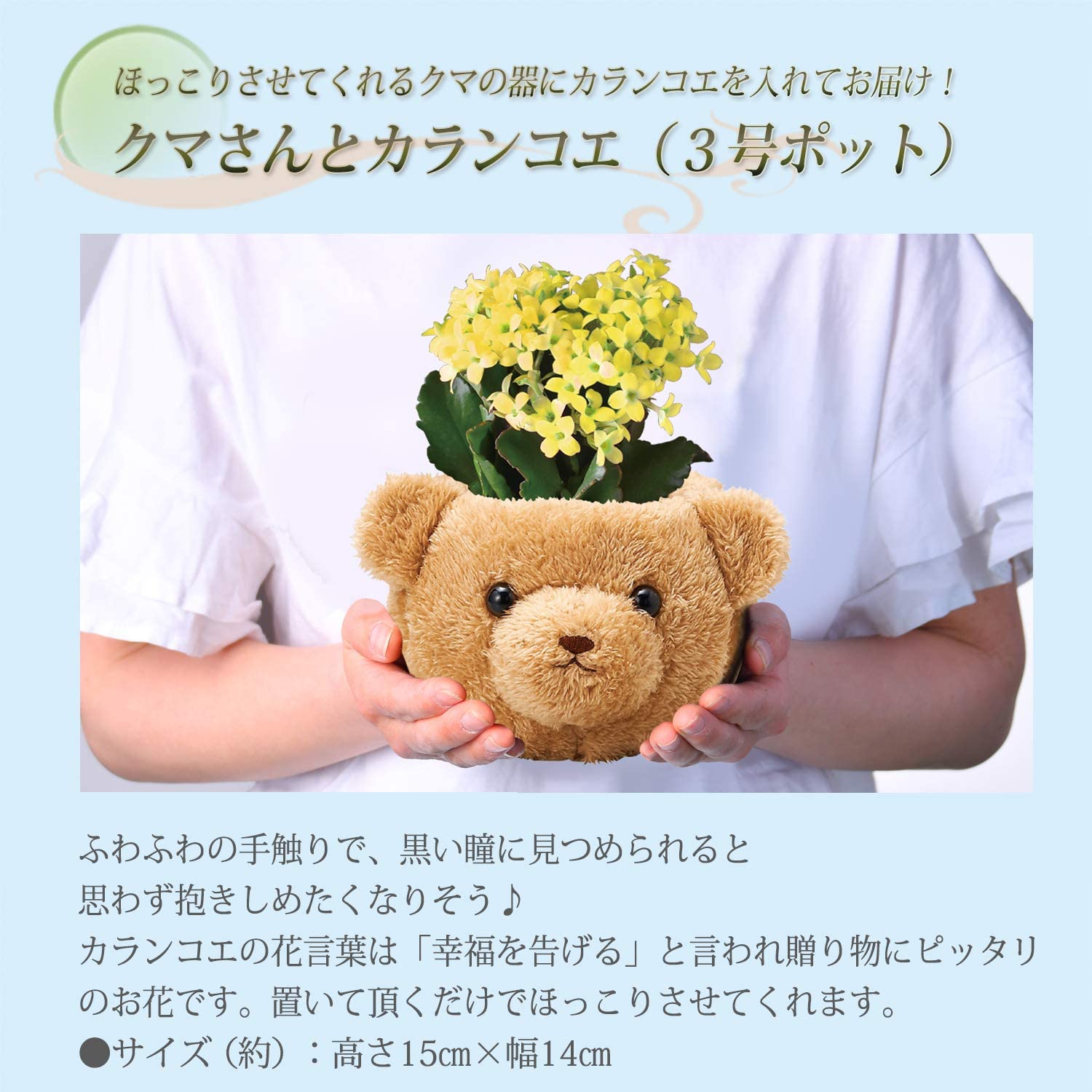 ����󥳥� ��ȭ ȭ���� �ե����ե� ���� ���� �� �ץ쥼���