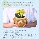 ����󥳥� ��ȭ ȭ���� �ե����ե� ���� ���� �� �ץ쥼���