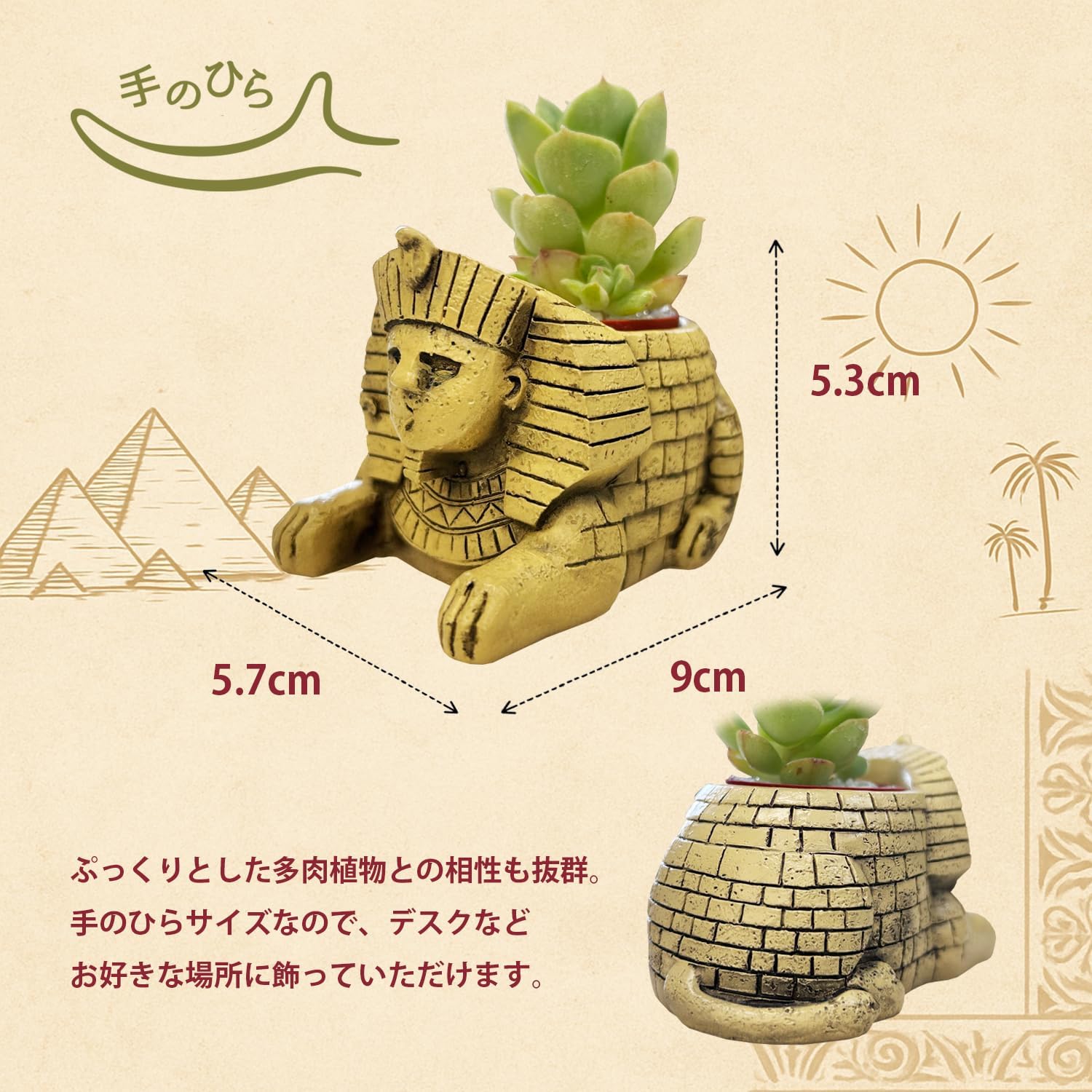 ¿����ʪ ����ƥꥢ ���տ�ʪ ���ե� ���ե��󥯥� �ߥ˥����� �ץ����ե� ¿��