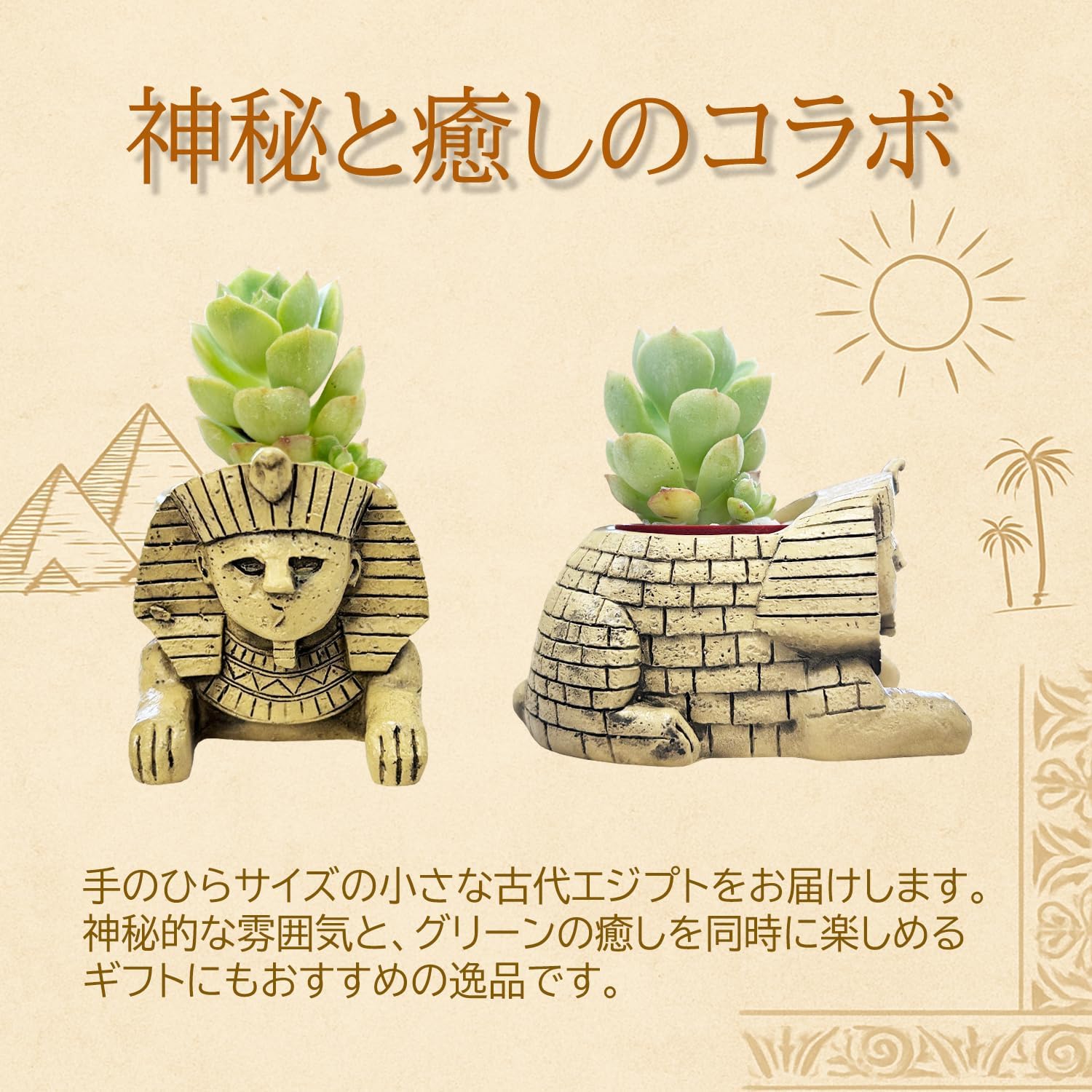 ¿����ʪ ����ƥꥢ ���տ�ʪ ���ե� ���ե��󥯥� �ߥ˥����� �ץ����ե� ¿��