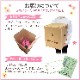 �꡼�������β� �꡼�������٥��˥� �٥��˥��β� �꡼������ �٥��˥� ȭ���� ȭ��