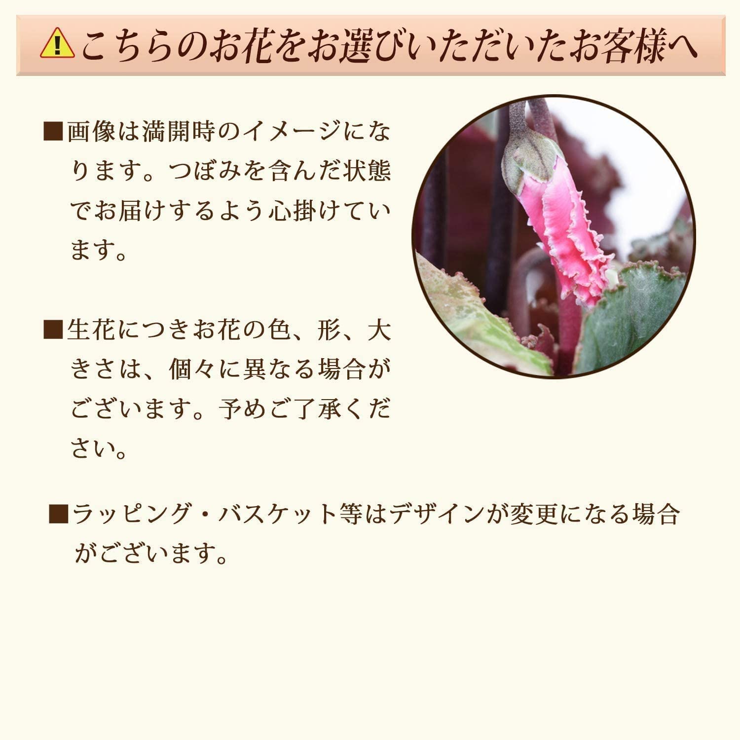 �������� ���ե� �ץ쥼��� �� ȭ���� ȭ�� ������ 5��ȭ �ץ�ޡ����� ��å�