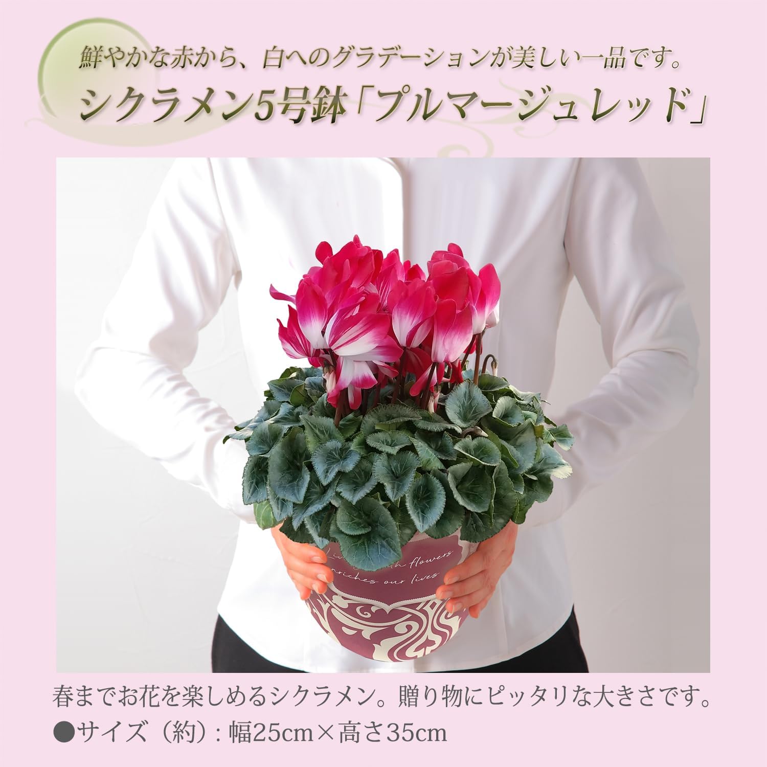 �������� ���ե� �ץ쥼��� �� ȭ���� ȭ�� ������ 5��ȭ �ץ�ޡ����� ��å�