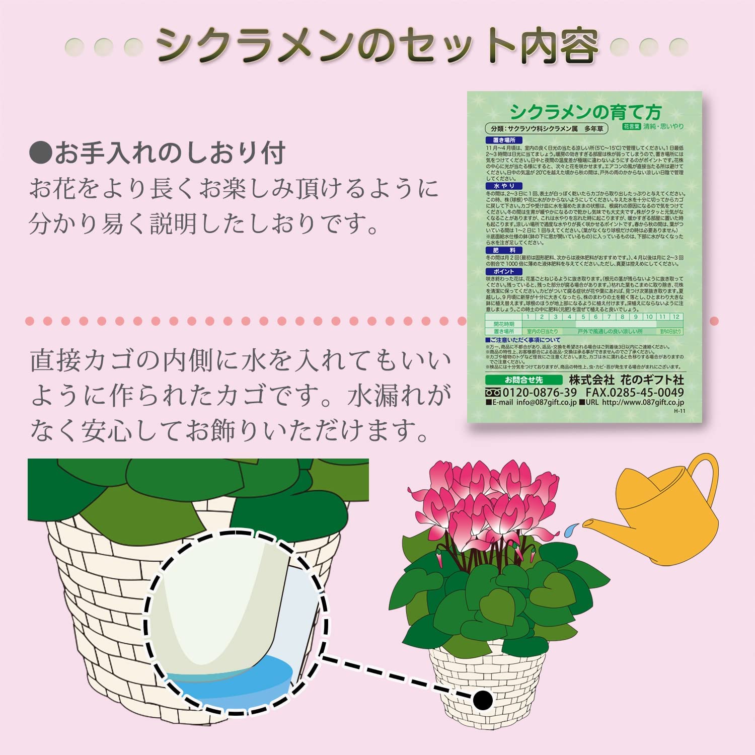  ե ץ쥼  ȭ ȭ  5ȭ  ɥ꡼४