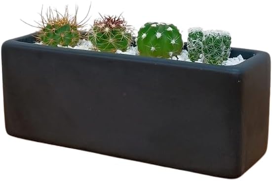 ���ܥƥ�󤻿��� ��ΤҤ饵���� ���� ���å��� �ȥ��� ����ƥꥢ ��