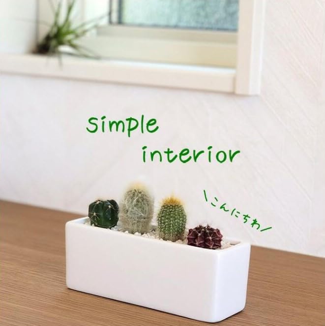 ���ܥƥ�󤻿��� ��ΤҤ饵���� ���� ���å��� �ȥ��� ����ƥꥢ ��