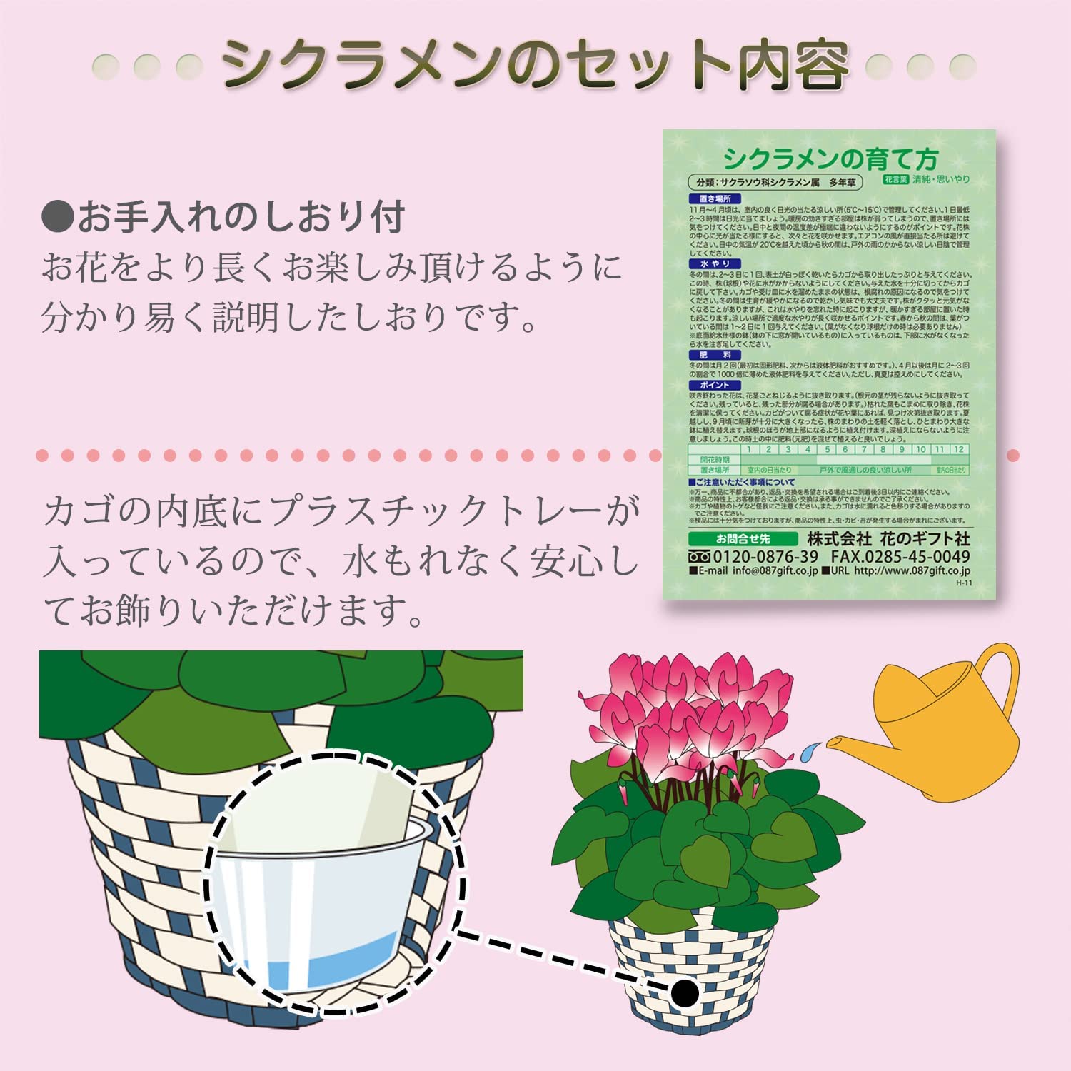 �������� ���ե� �ץ쥼��� �� ȭ���� ȭ�� ������ 6��ȭ �� �ӥ��ȥꥢ ����