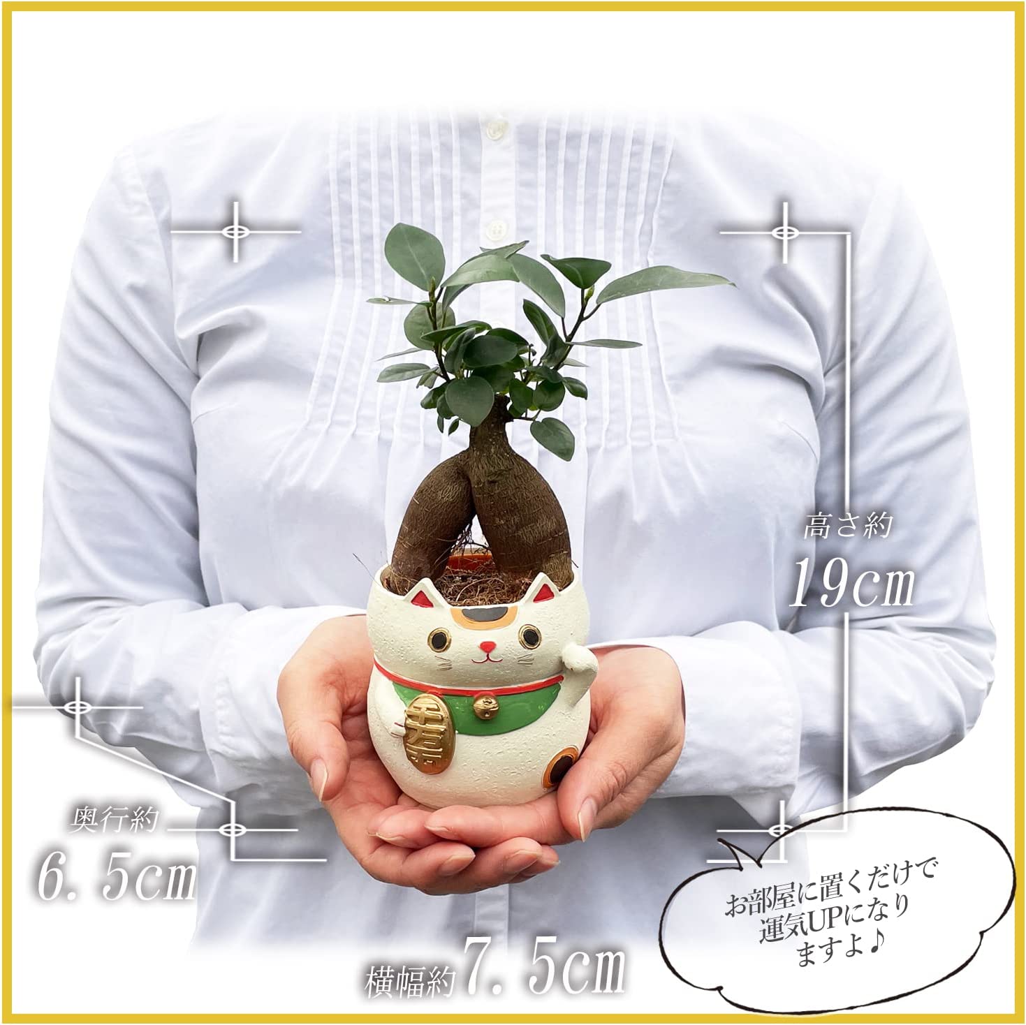 ����ǭ ��ʪ ������ޥ� ���տ�ʪ ��ʪ ������ޥ���� ȭ ������ޥ�ȭ���� ����