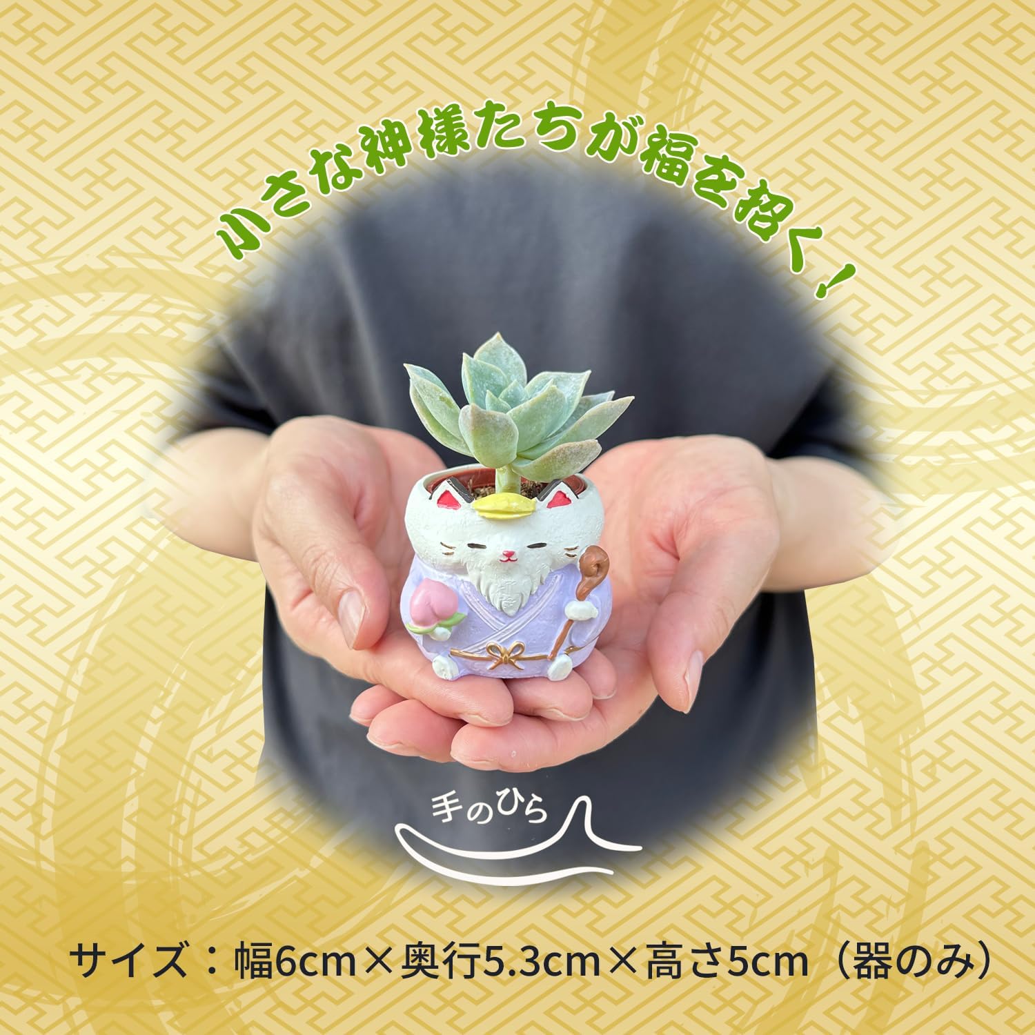 ¿����ʪ ¿�� ��ʡ�� ���տ�ʪ ���ե� ���襤�� ����ƥꥢ ������ �ץ����ե� ǭ