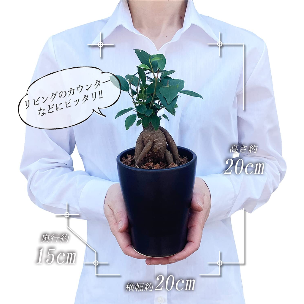 ������ޥ���� ������ޥ�ȭ���� ¿������ ������ޥ� ������ޤ� �ߥ˴��տ�ʪ ����