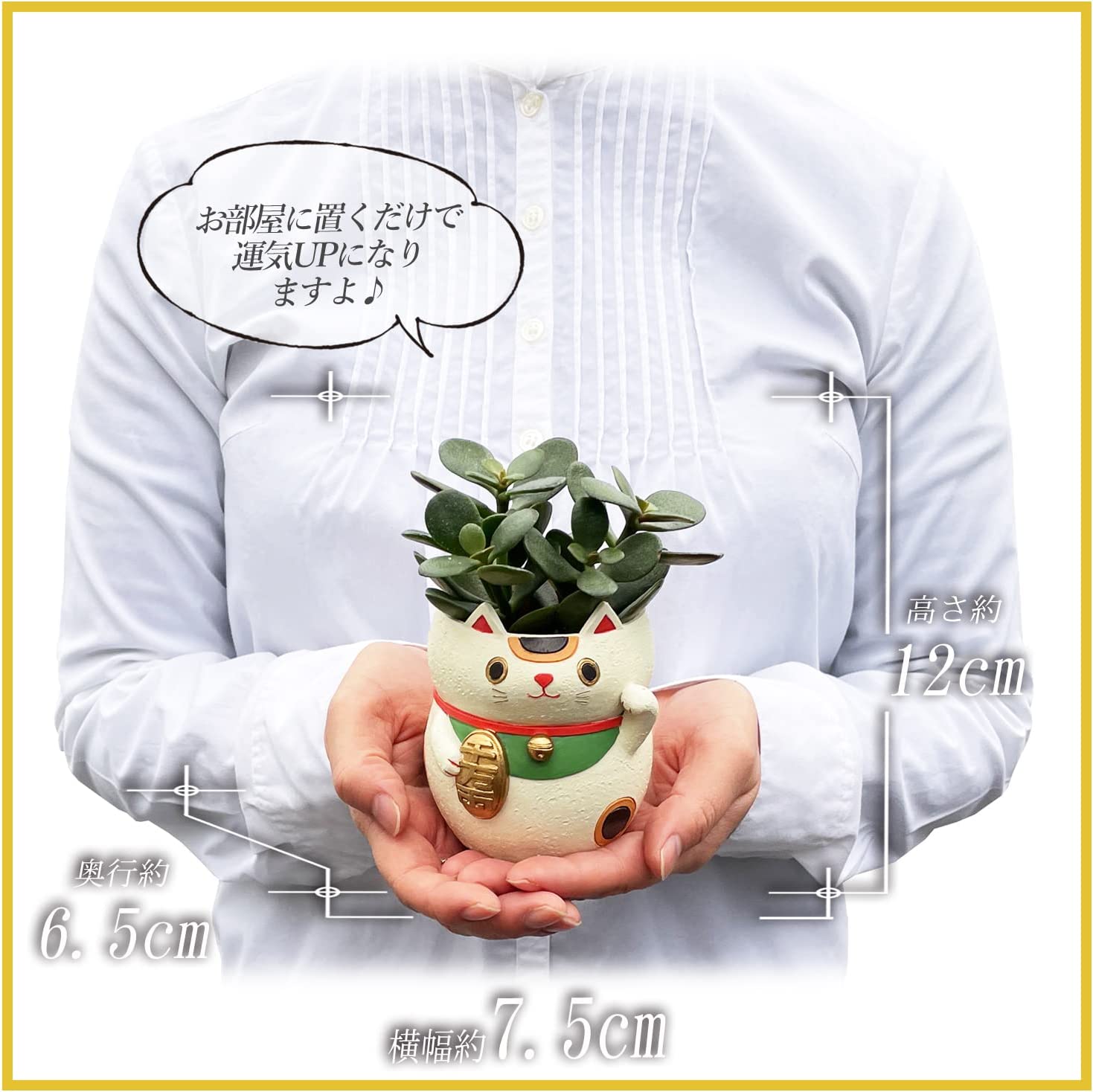 ����ǭ ��ʪ ��Τʤ��� ¿����ʪ ���տ�ʪ ��ʪ ��������� ¿�� ȭ �ץ쥼���
