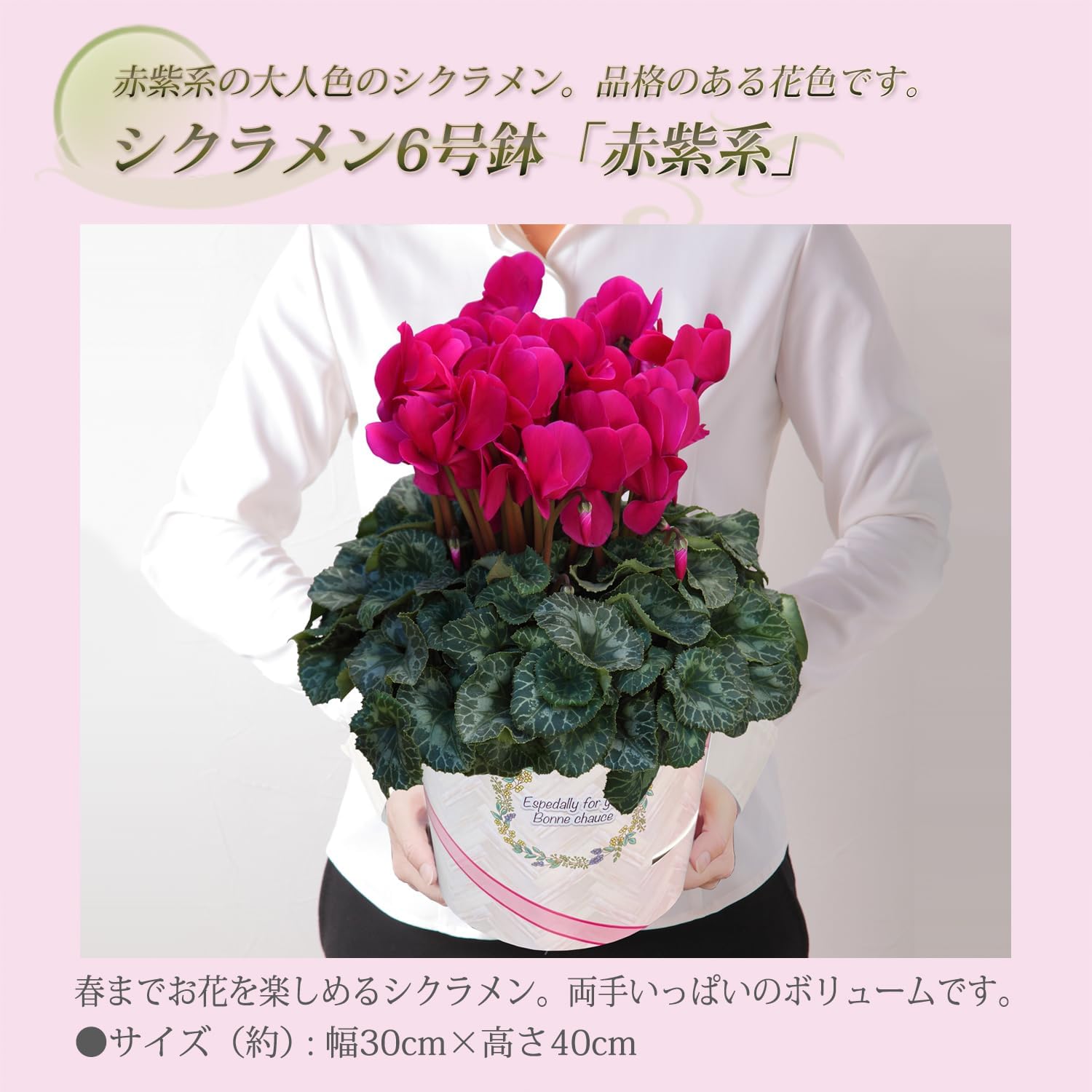 �������� ���ե� �ץ쥼��� �� ȭ���� ȭ�� ������ 6��ȭ �� ���� ������