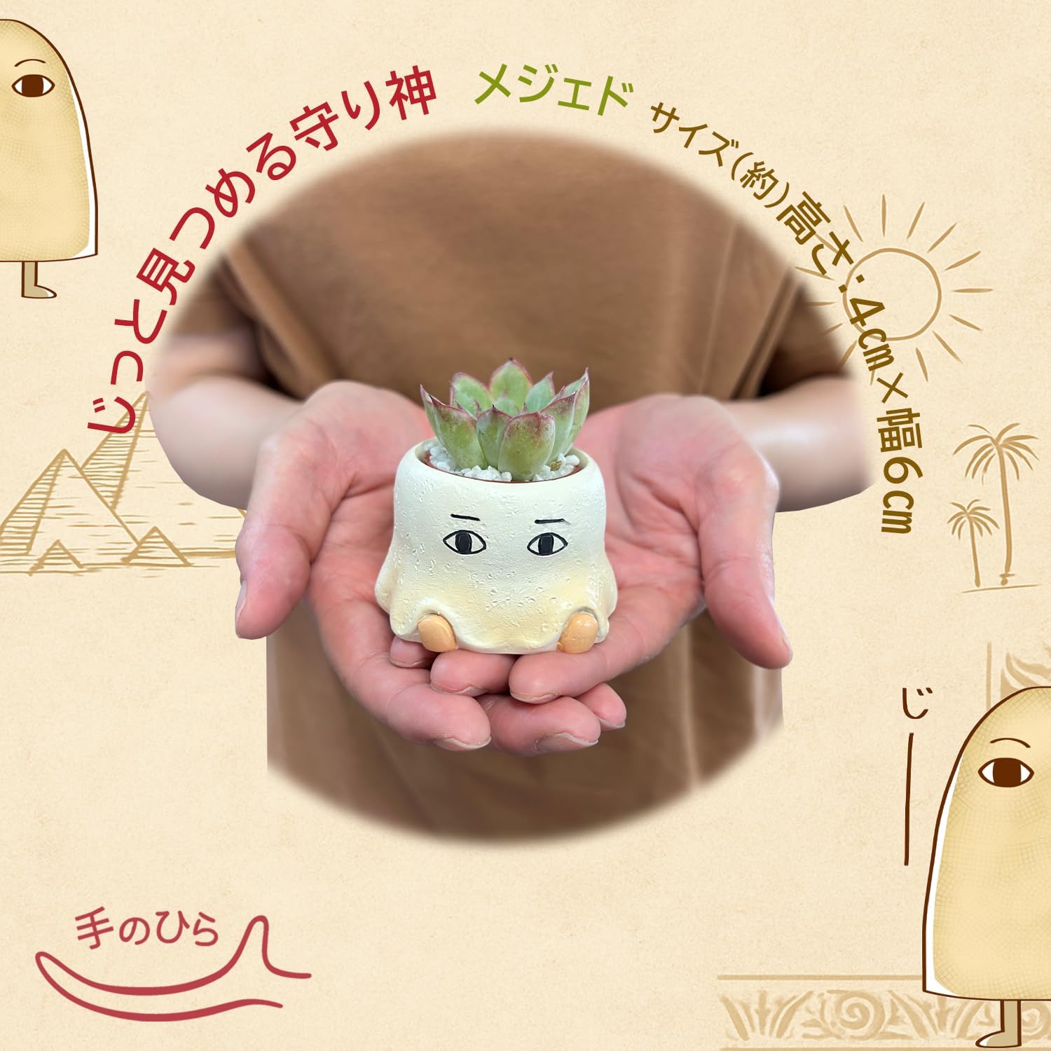 ¿����ʪ ����ƥꥢ ���տ�ʪ ���ե� �᥸���� �����ץ� �ߥ� �ץ����ե� ¿��