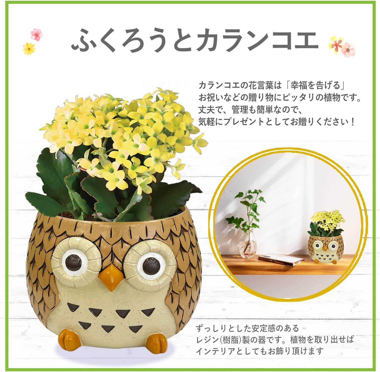 フラワーとフクロウデザインのカフリンクス フクロウ 置物 フクロウの置物 梟 花 カランコエ 鉢植え 花鉢 鉢
