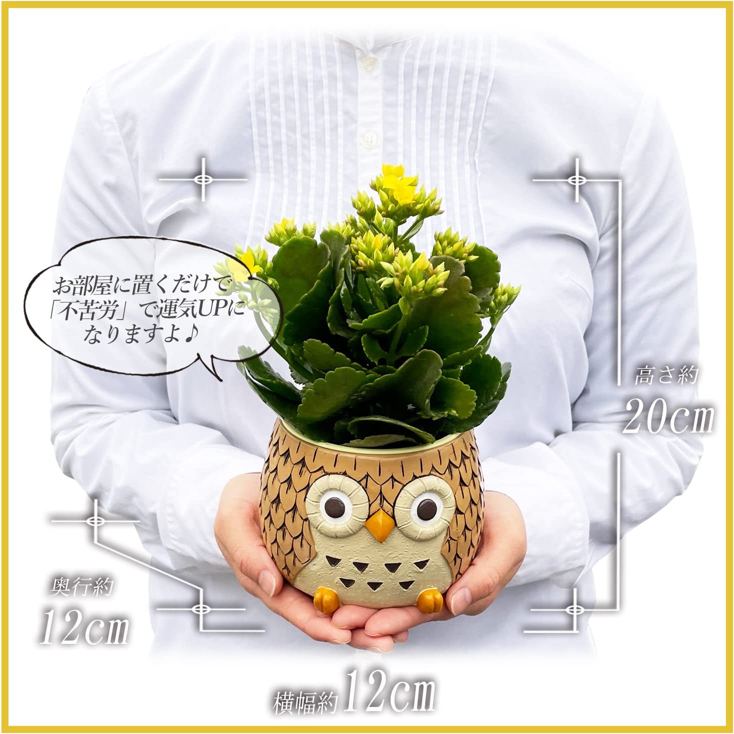 �ե����� ��ʪ �ե���������ʪ �� �� ����󥳥� ȭ���� ��ȭ ȭ ����󥳥�ȭ����