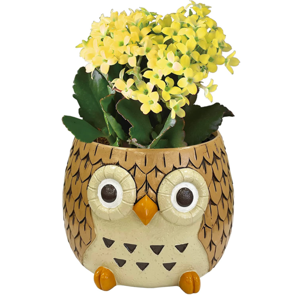 �ե����� ��ʪ �ե���������ʪ �� �� ����󥳥� ȭ���� ��ȭ ȭ ����󥳥�ȭ����