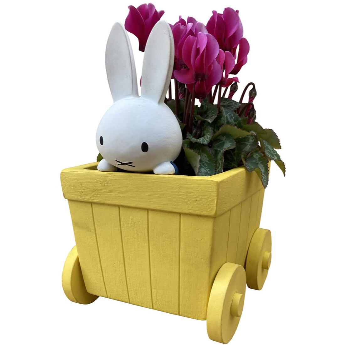 �ߥåե��� Miffy �������� ��������β� ȭ���� ���å� ������ �� ���ե�