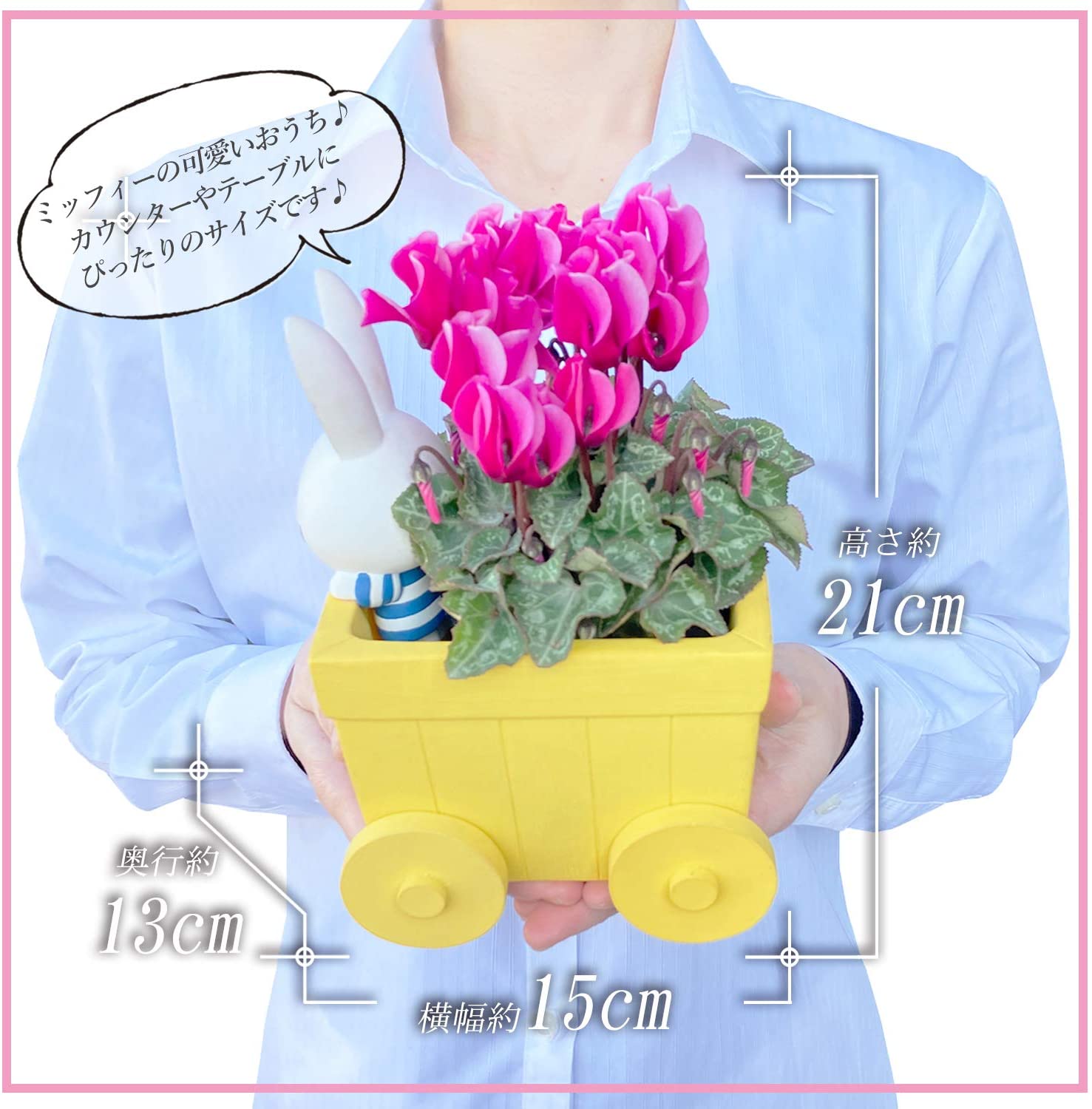 �ߥåե��� Miffy �������� ��������β� ȭ���� ���å� ������ �� ���ե�
