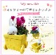 �ߥåե��� Miffy �������� ��������β� ȭ���� ���å� ������ �� ���ե�