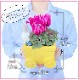 �ߥåե��� Miffy �������� ��������β� ȭ���� ���å� ������ �� ���ե�