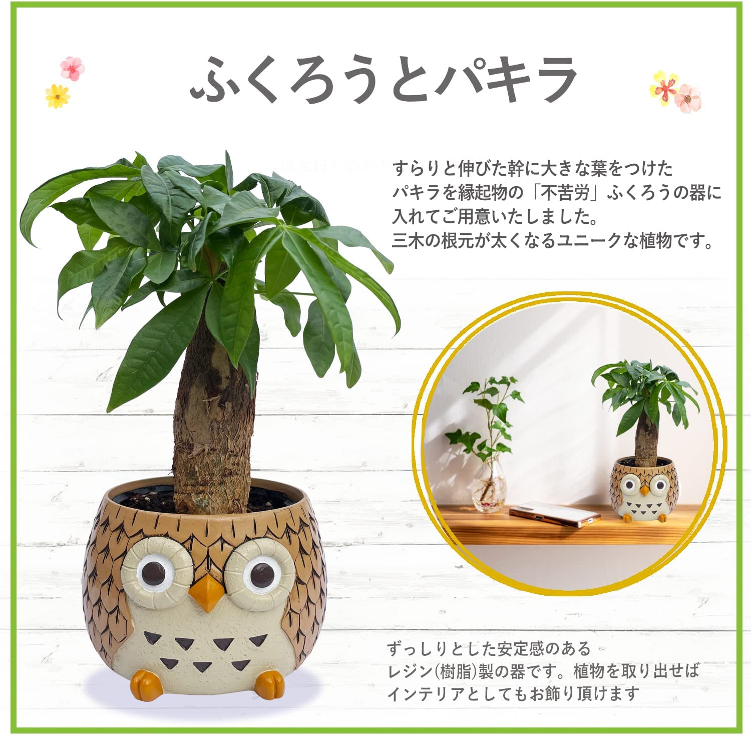 �ե����� ��ʪ �ե���������ʪ �� �ѥ��� ���տ�ʪ �ѥ���ȭ���� �ߥ˴��տ�ʪ ����