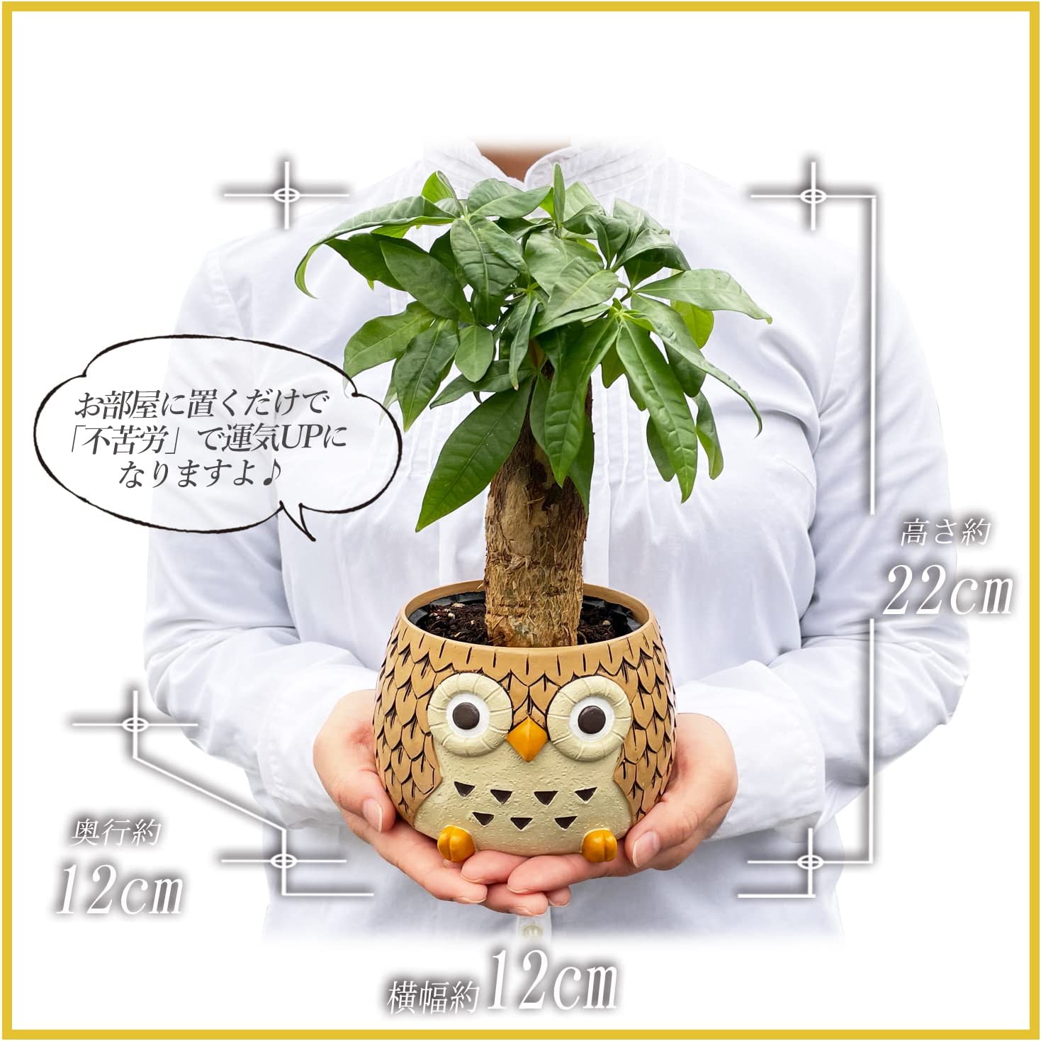 �ե����� ��ʪ �ե���������ʪ �� �ѥ��� ���տ�ʪ �ѥ���ȭ���� �ߥ˴��տ�ʪ ����