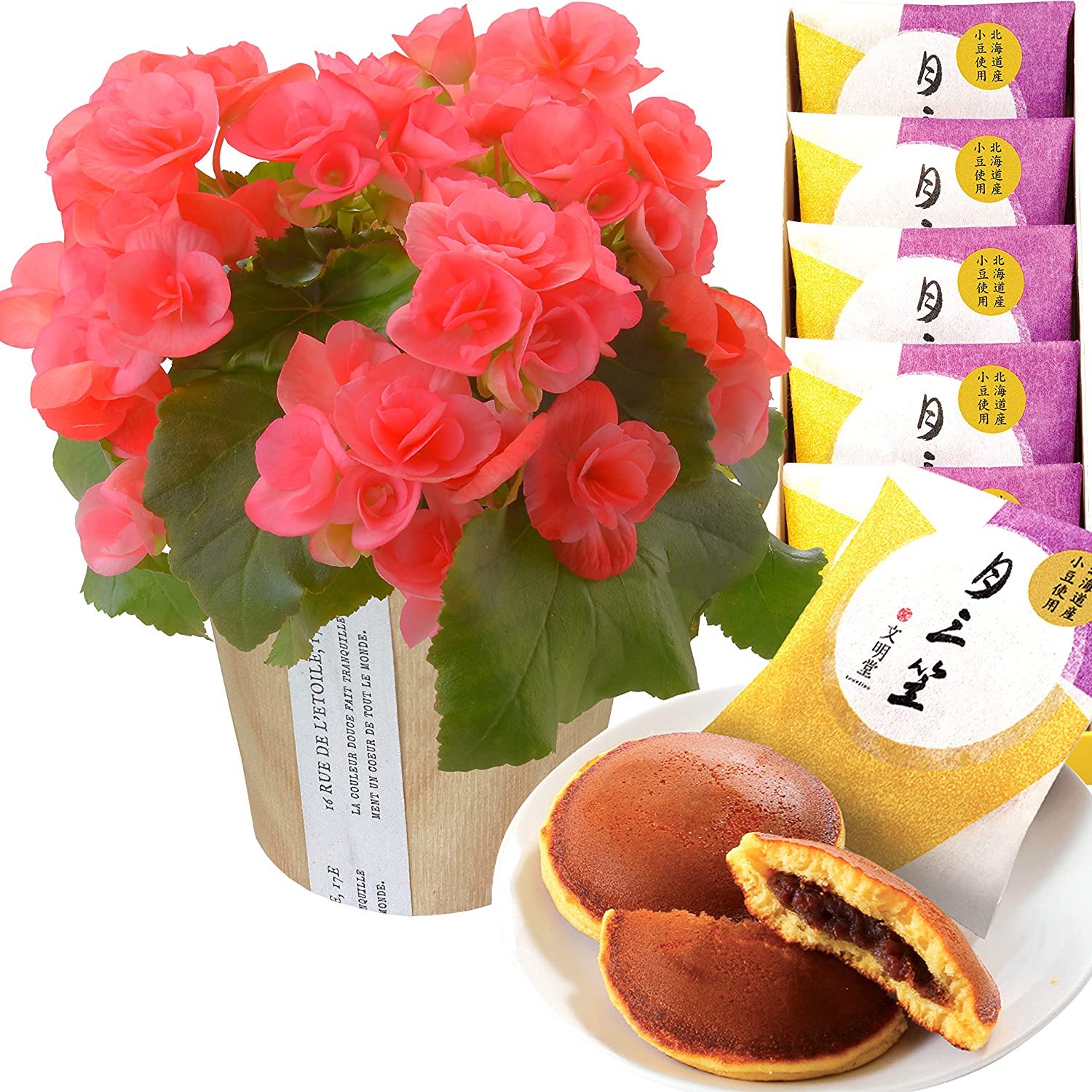 �꡼������ �٥��˥� �� ���ե� ������ �ץ쥼��� �꡼�������٥��˥� ȭ�� ȭ��