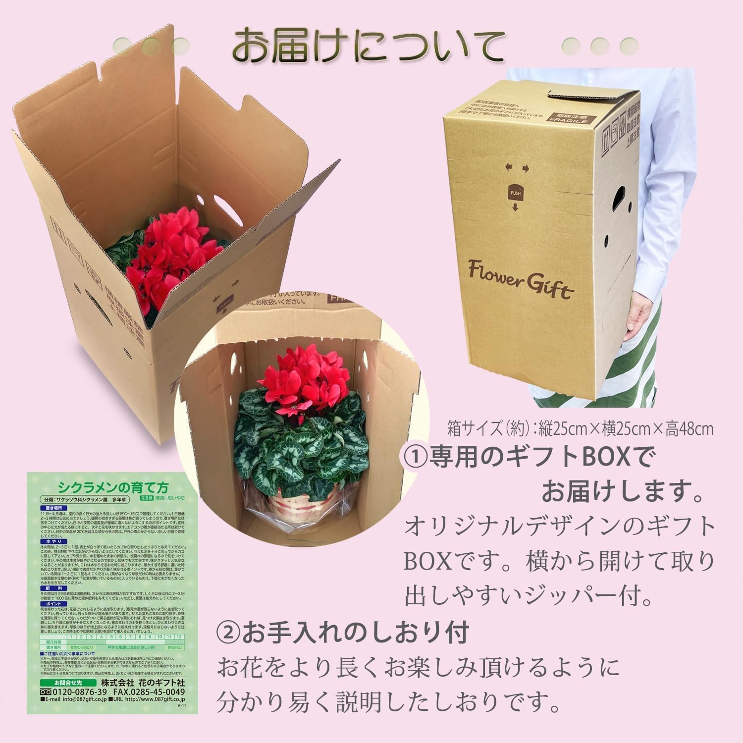 �������� ���ե� �ץ쥼��� �� ȭ���� ȭ�� ������ 5��ȭ �� ��֥����ɥ�