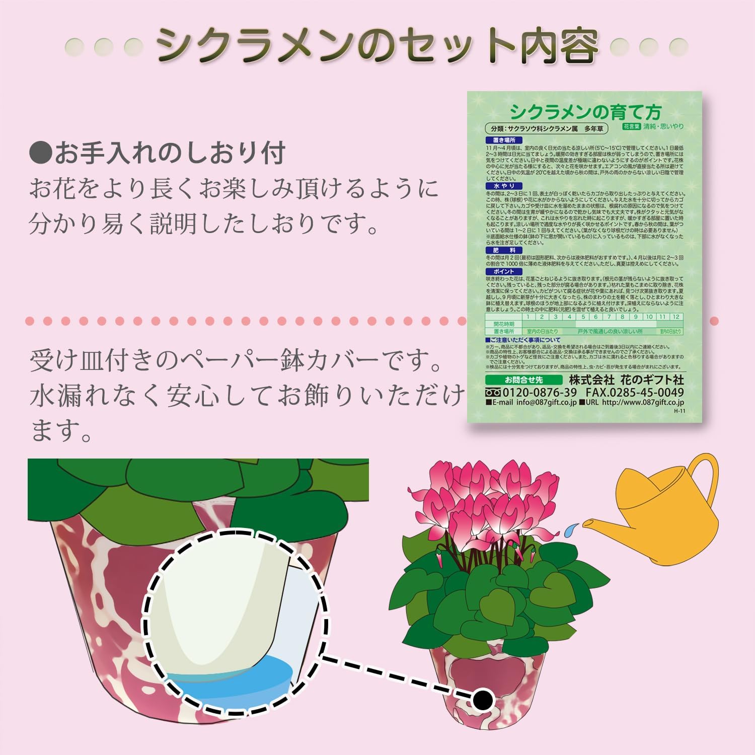 �������� ���ե� �ץ쥼��� �� ȭ���� ȭ�� ������ 5��ȭ �� ��֥����ɥ�